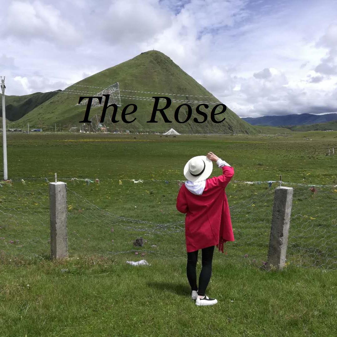 The Rose