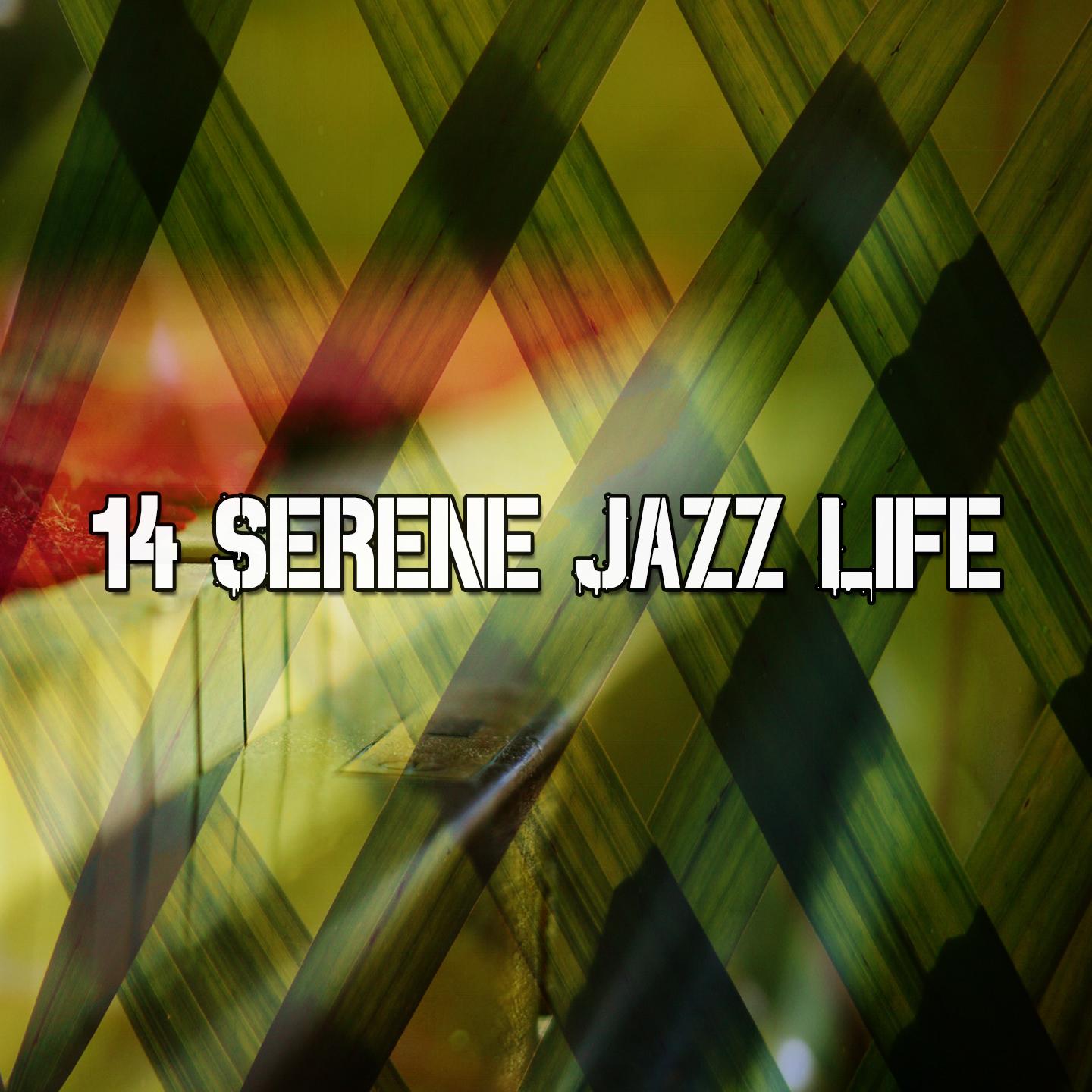 14 Serene Jazz Life