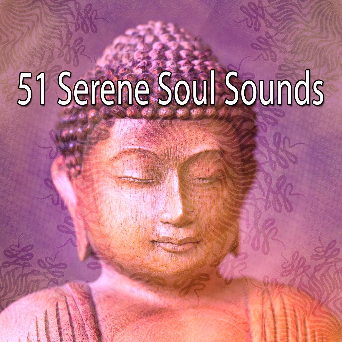 51 Serene Soul Sounds