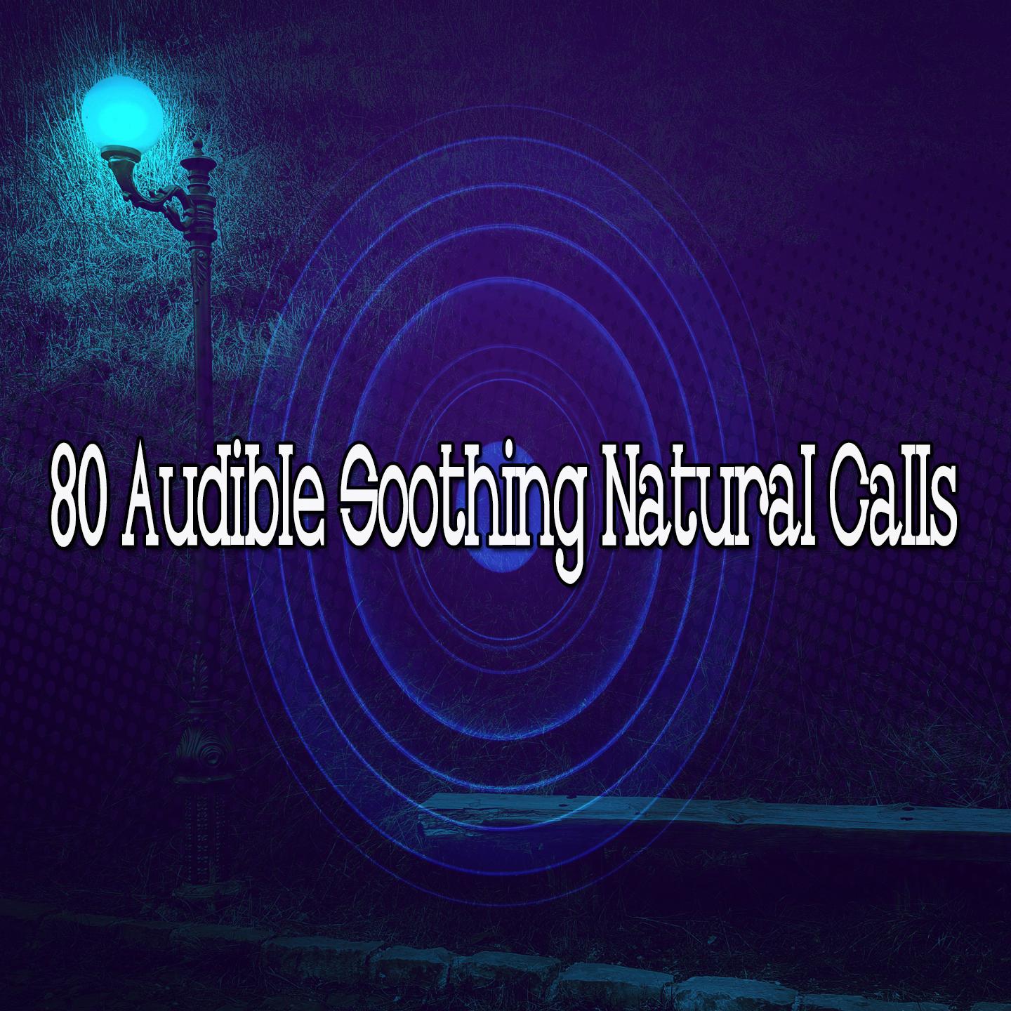 80 Audible Soothing Natural Calls