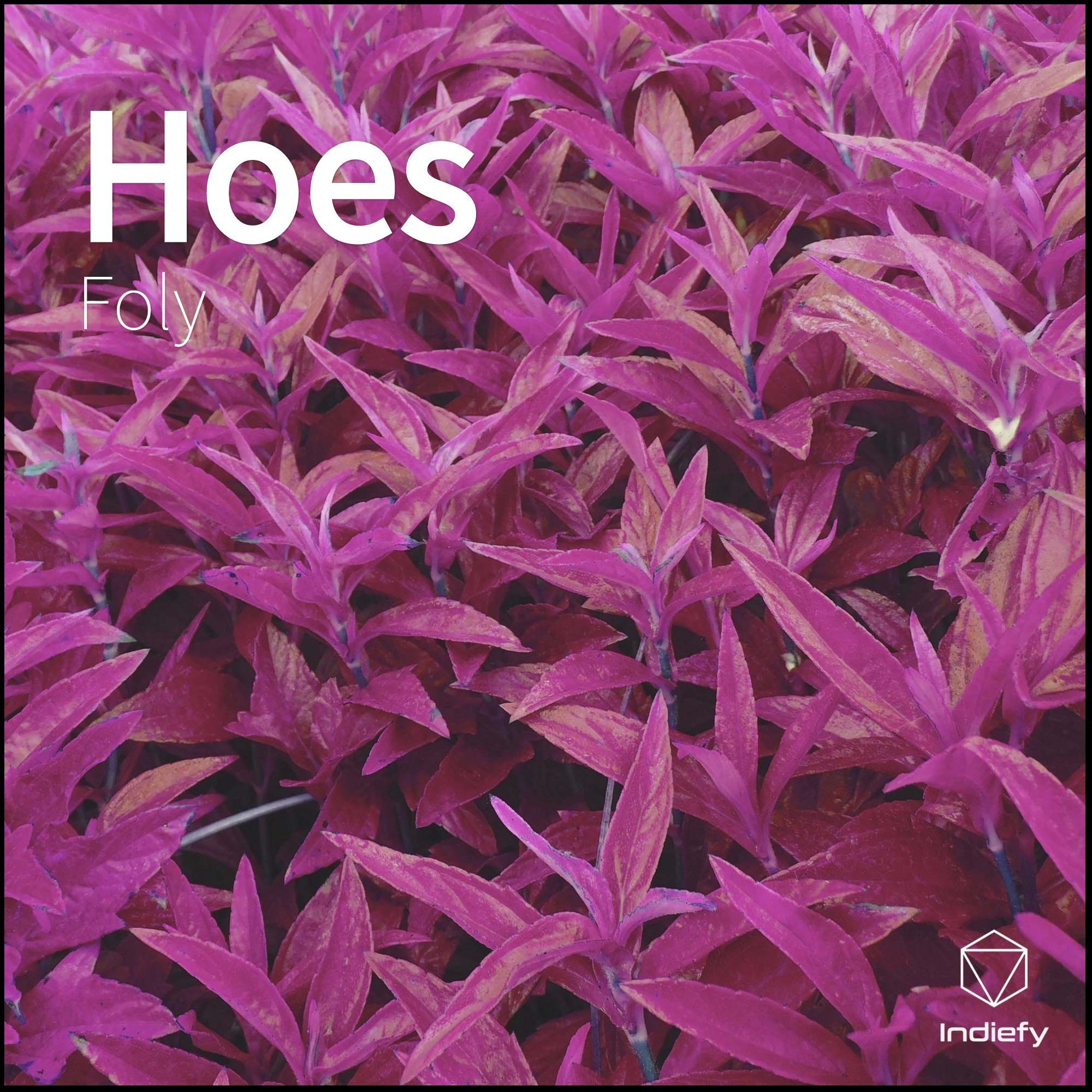 Hoes