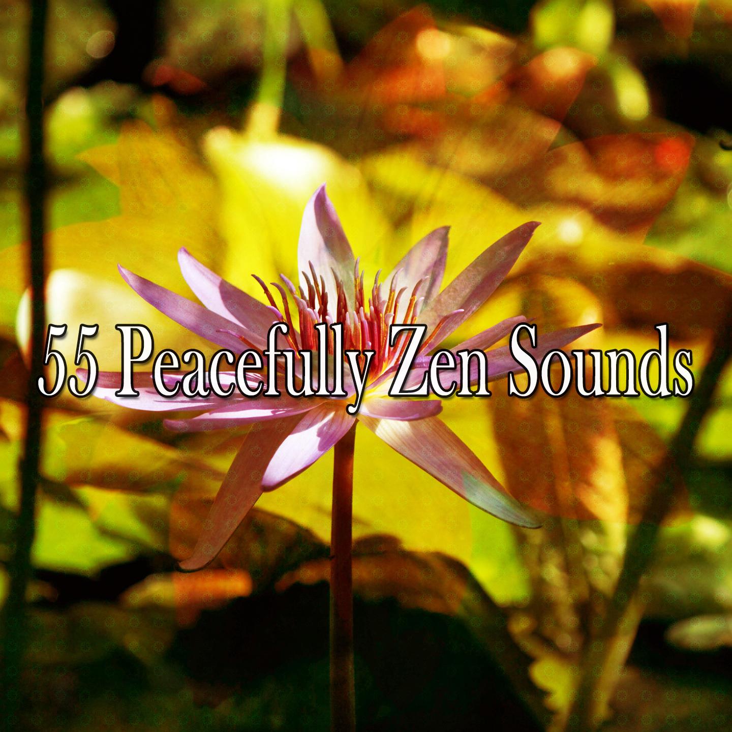 55 Peacefully Zen Sounds