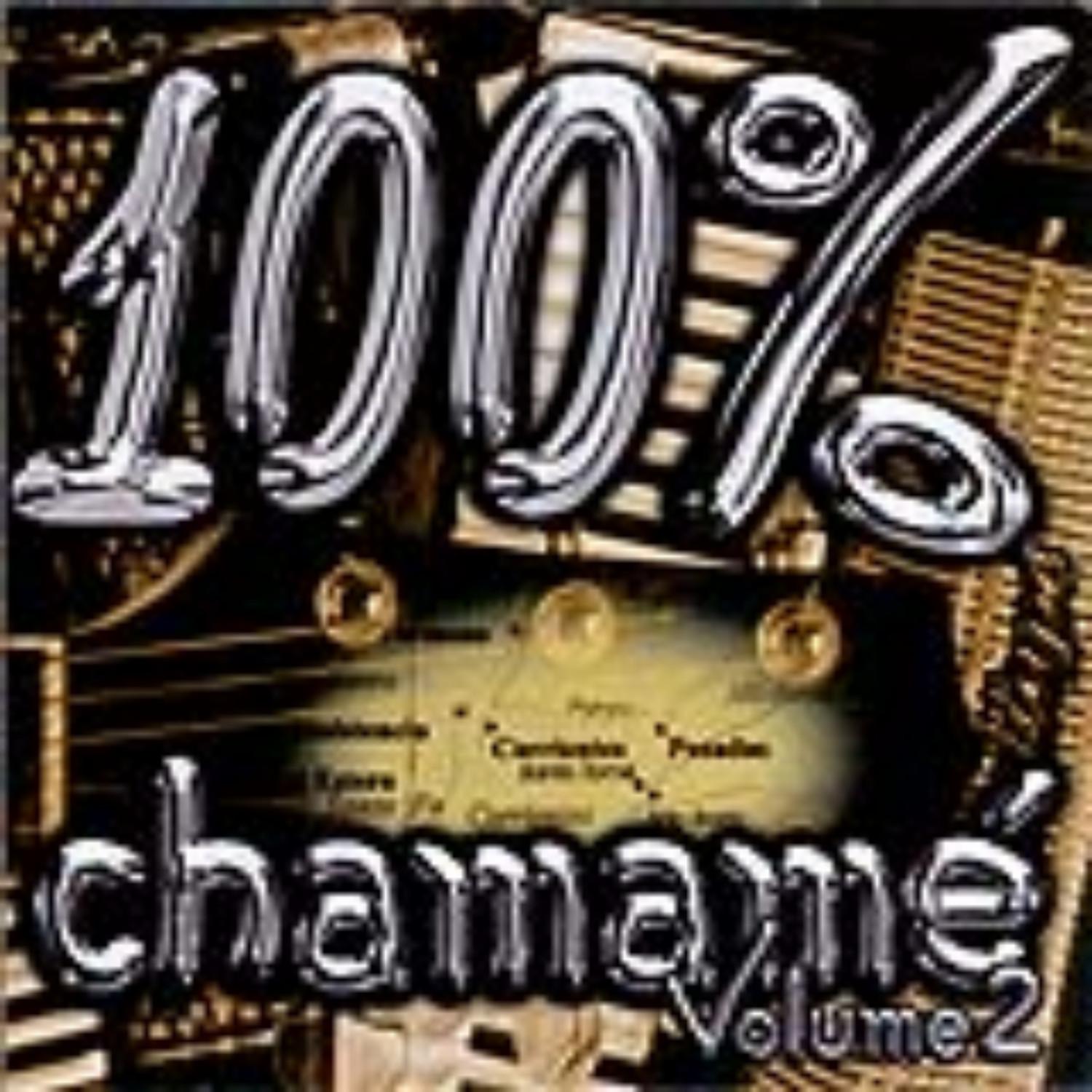 100 % Chamamé - Vol. 2