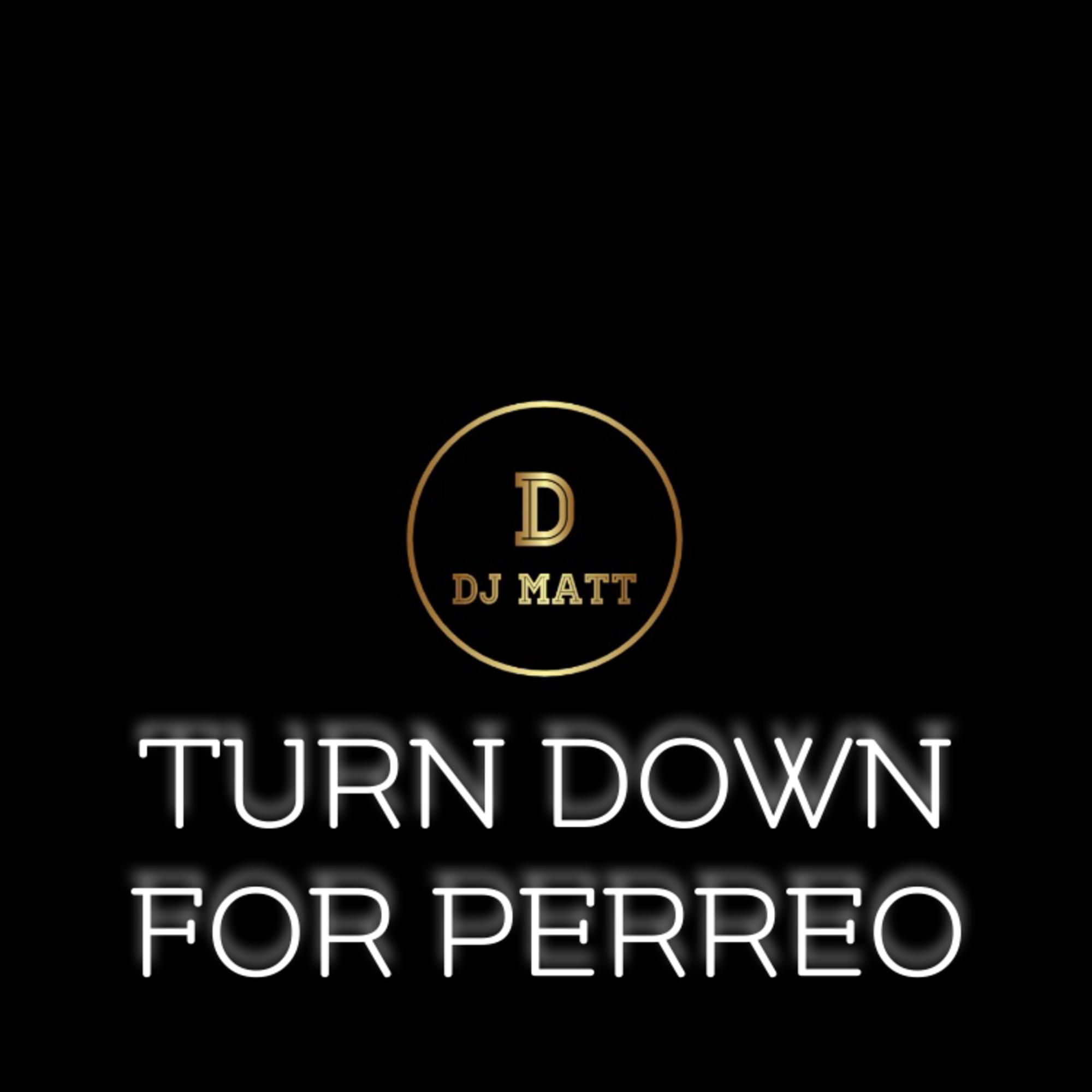 Turn Down For Perreo