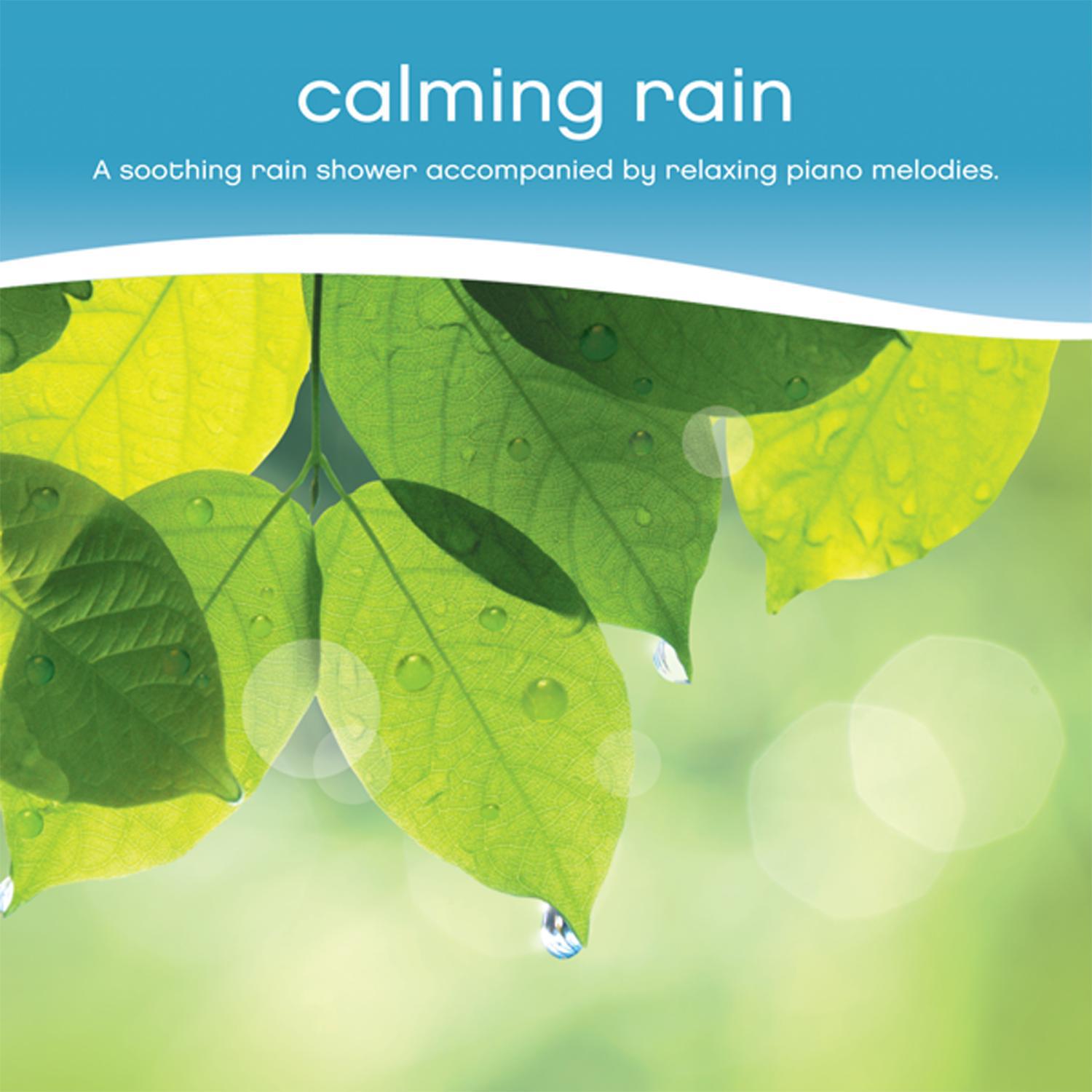 Calming Rain