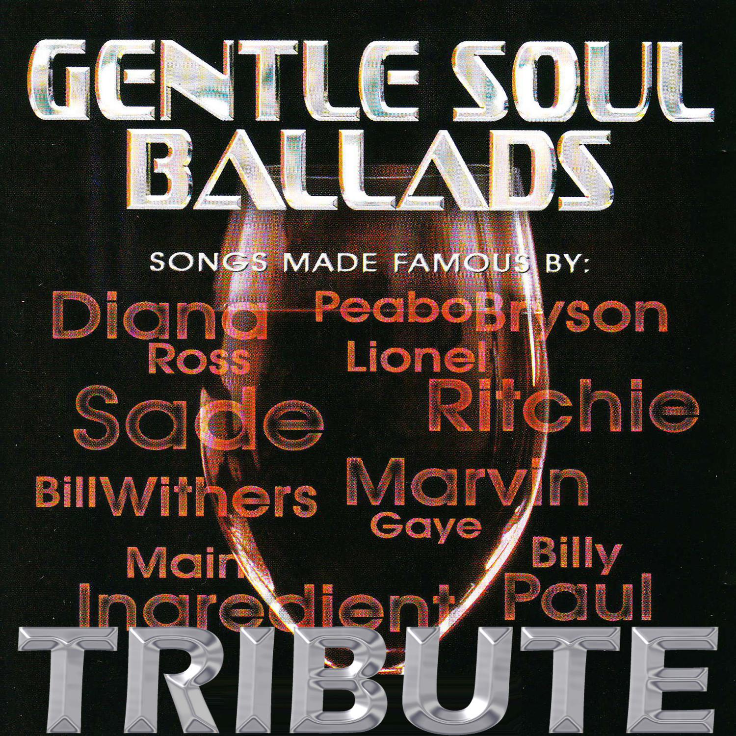 Dubble Trubble Tribute - Gentle Soul Ballads