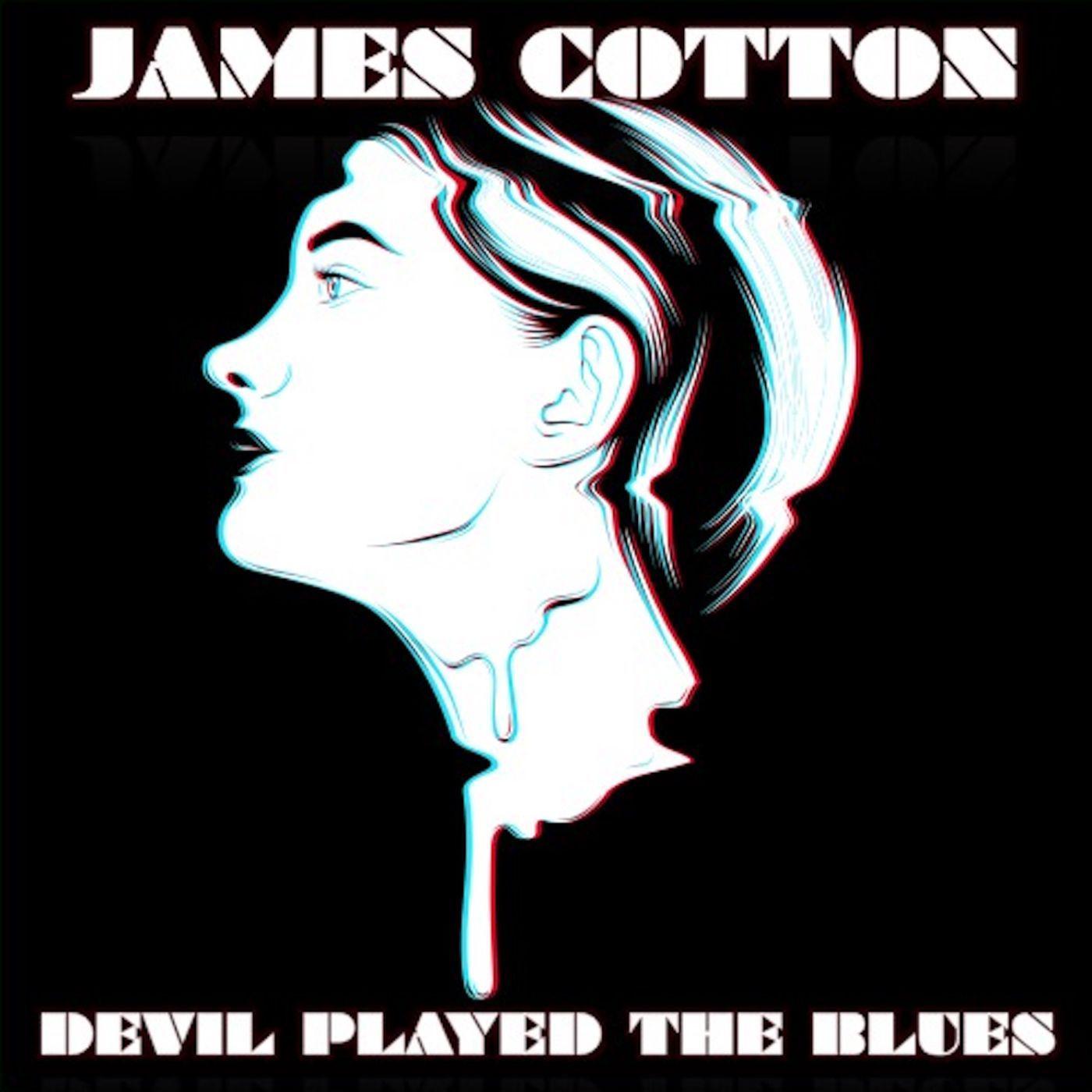 Devil Played The Blues