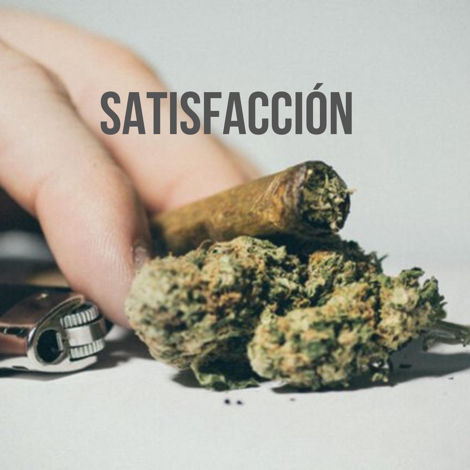 Satisfacción