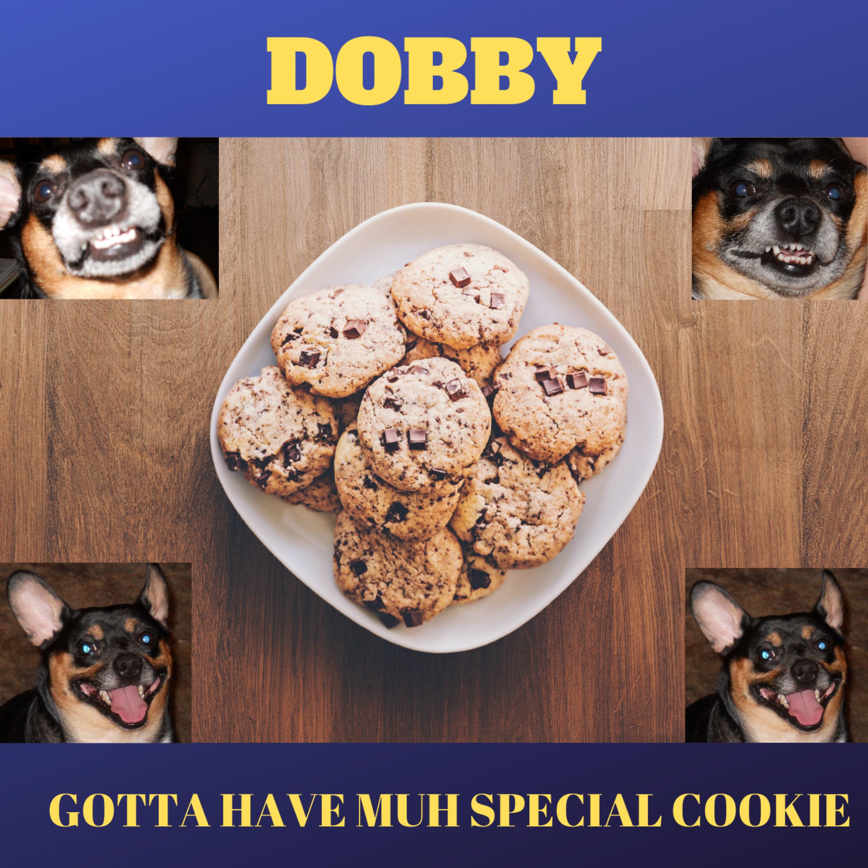 Dobby - Gotta Have Muh Special Cookie