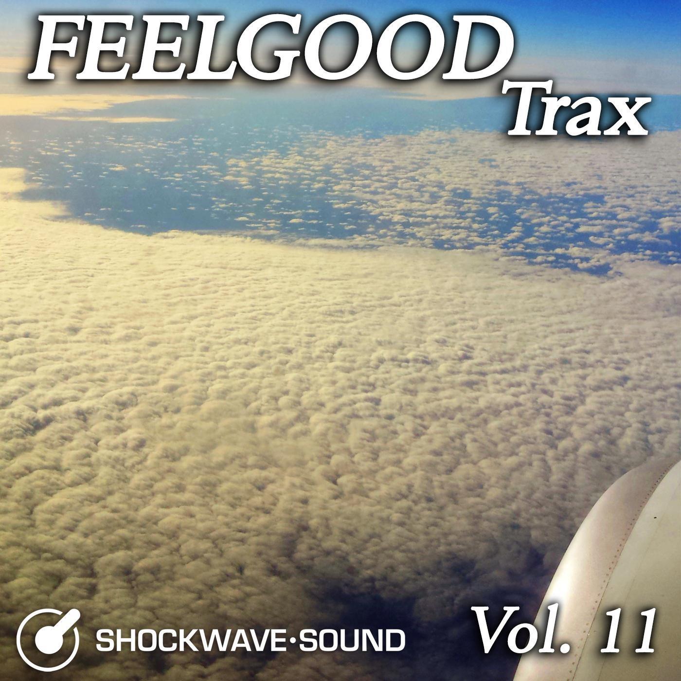 Feelgood Trax, Vol. 11