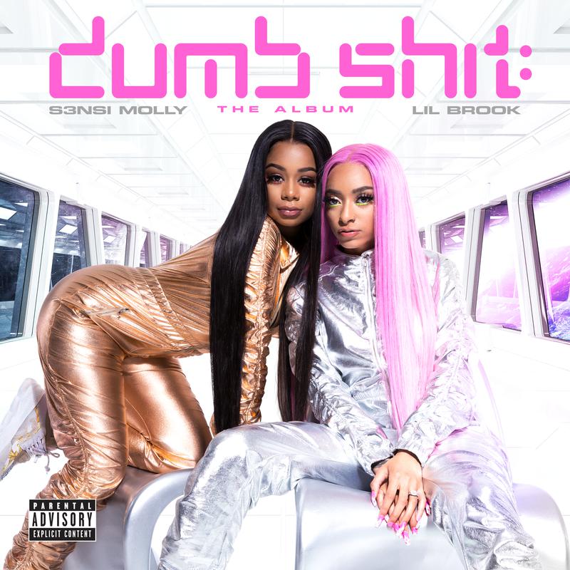 Dumb ****: The Album