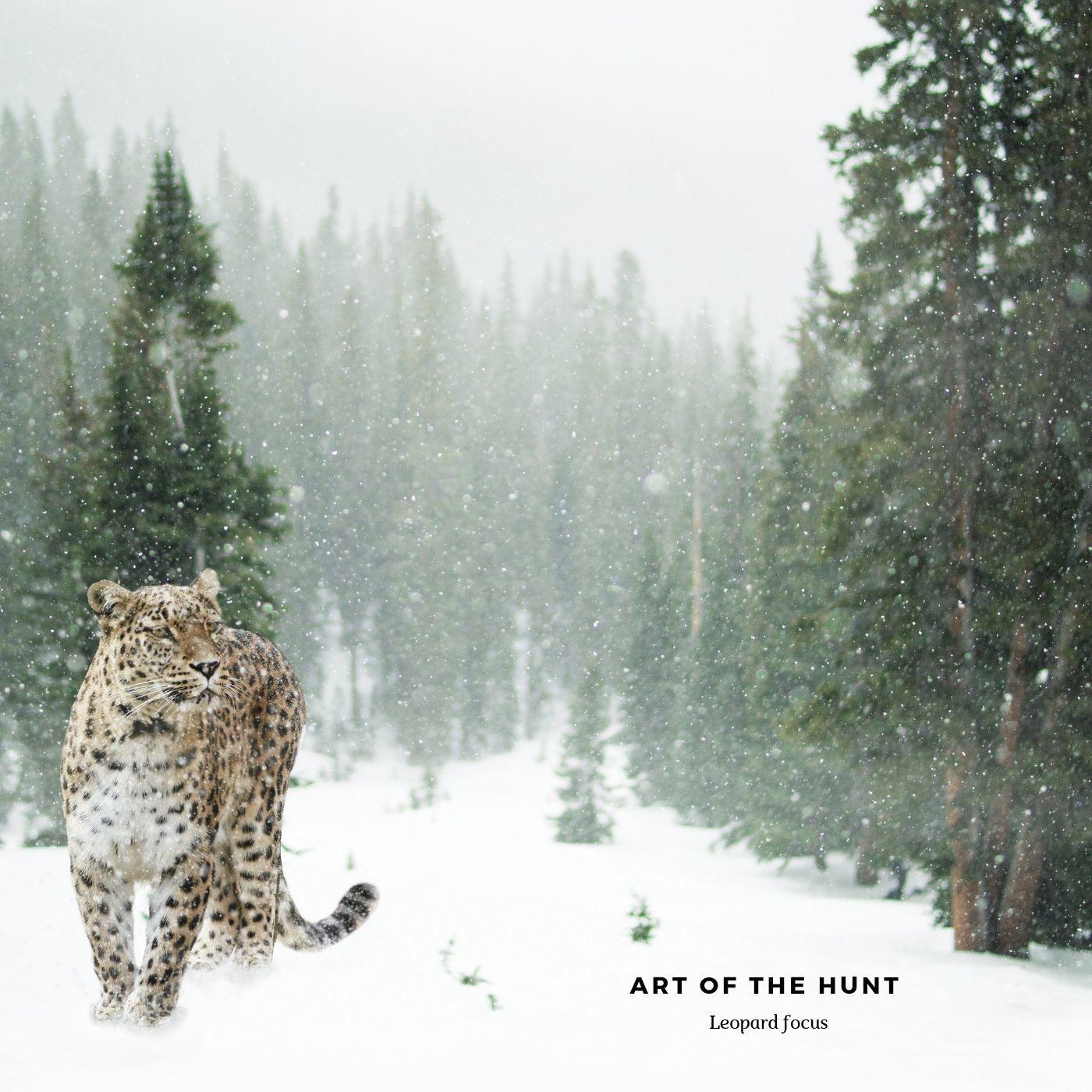 Art of the Hunt