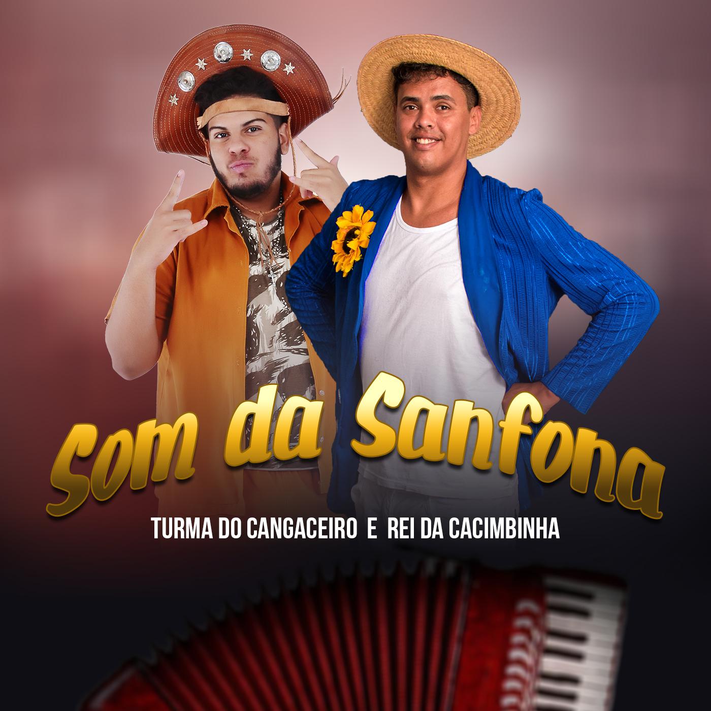 Som da Sanfona