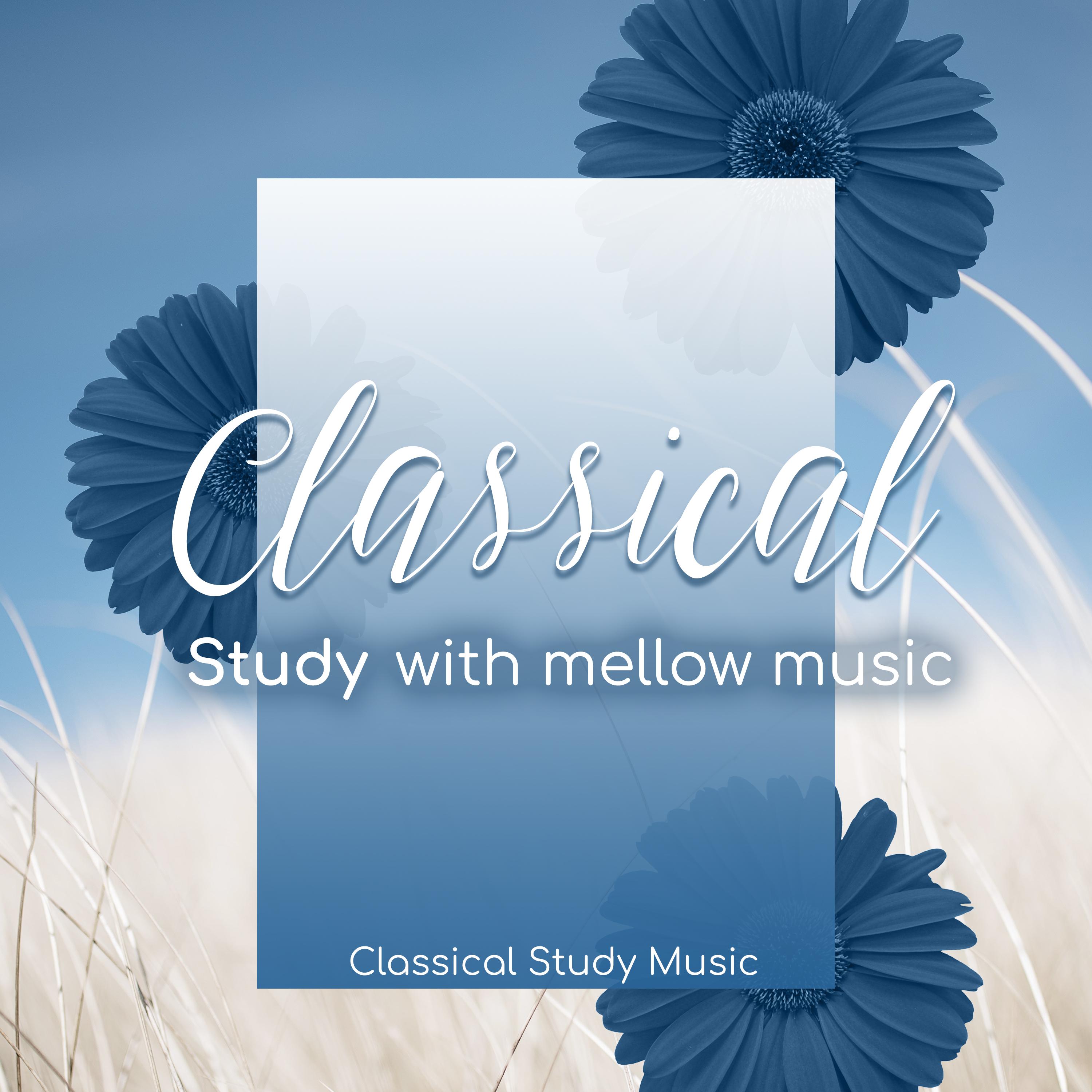 Classical Study with Mellow Music