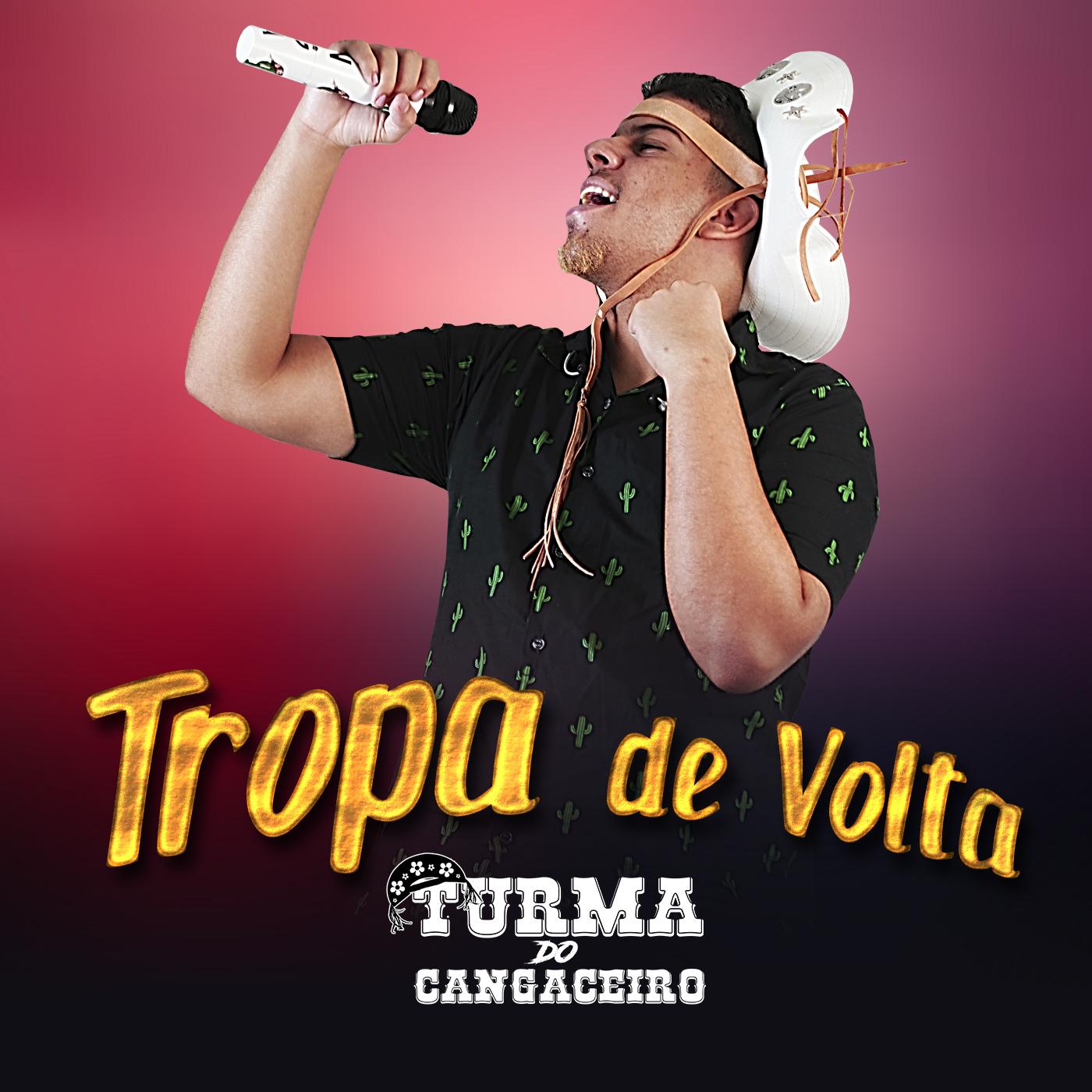 Tropa de Volta