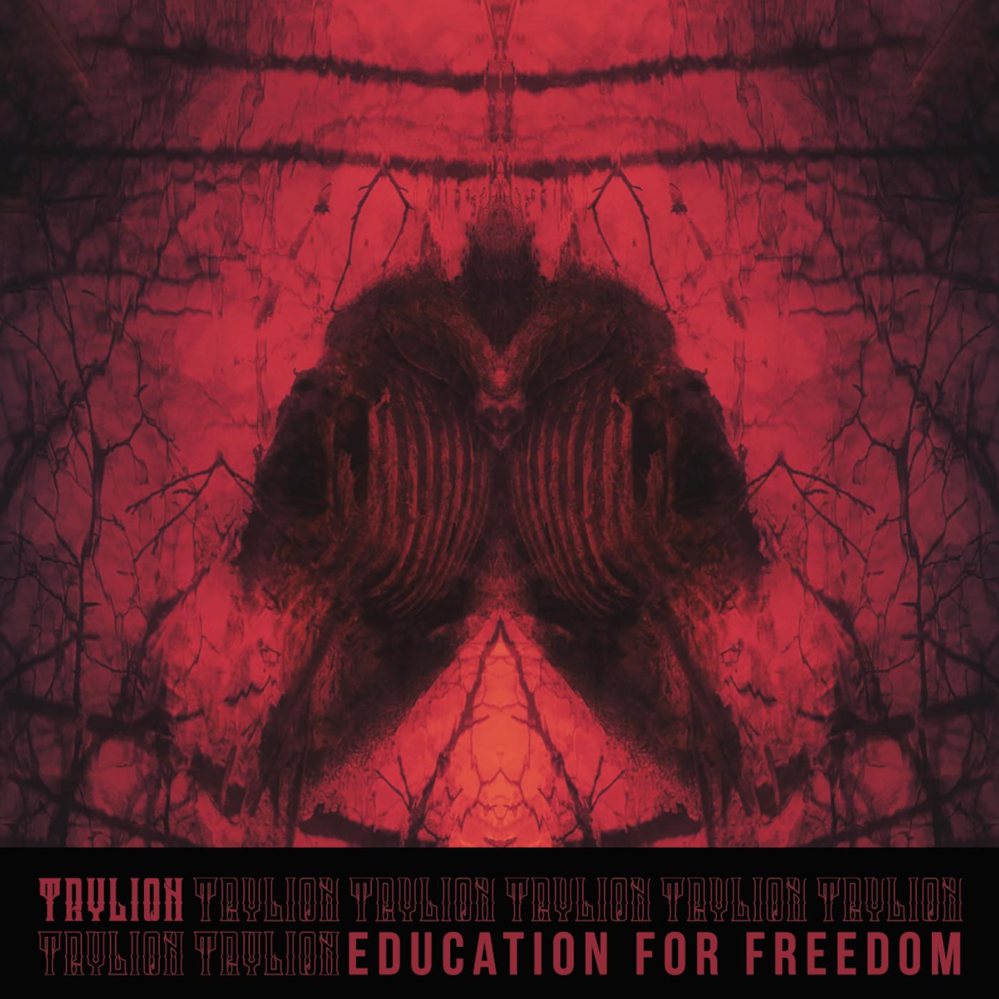 Education for Freedom