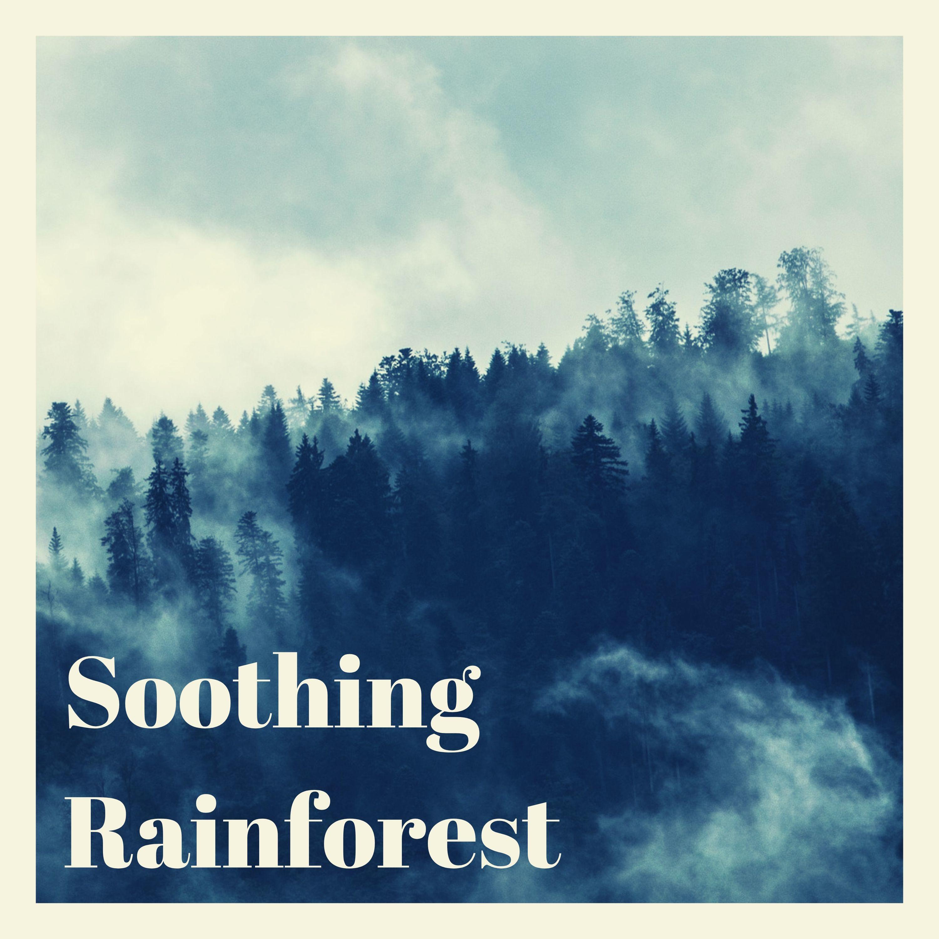 Soothing Rainforest