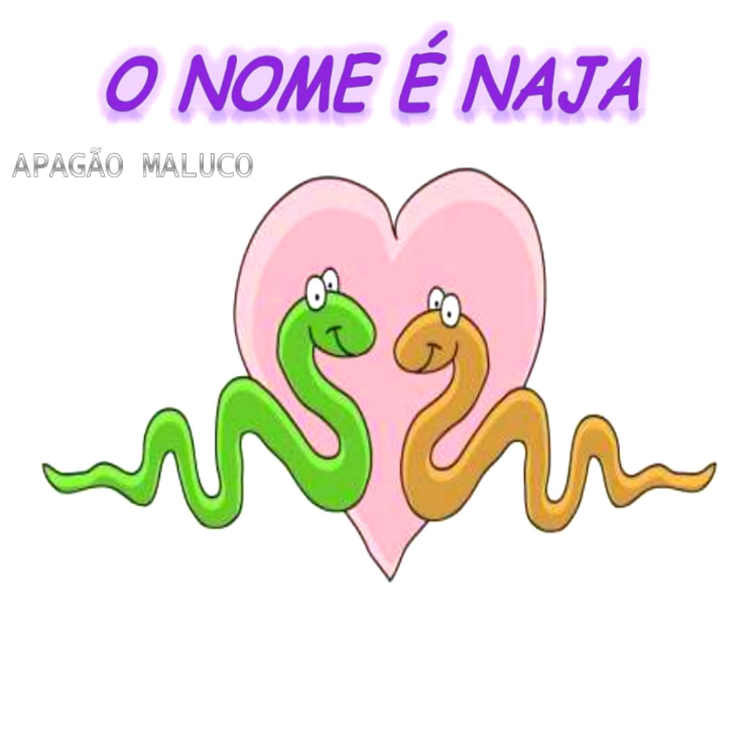 O Nome É Naja