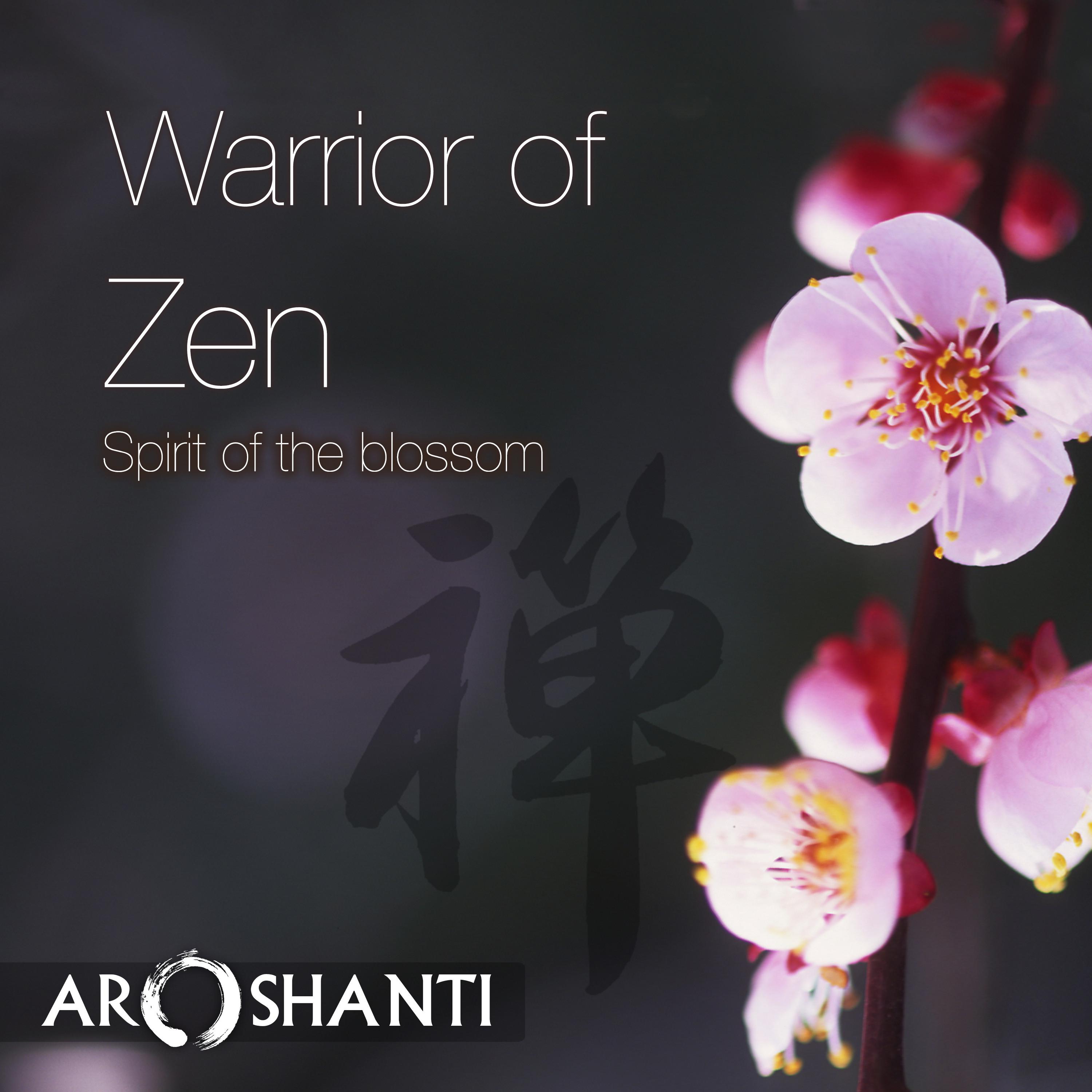 Warrior of Zen