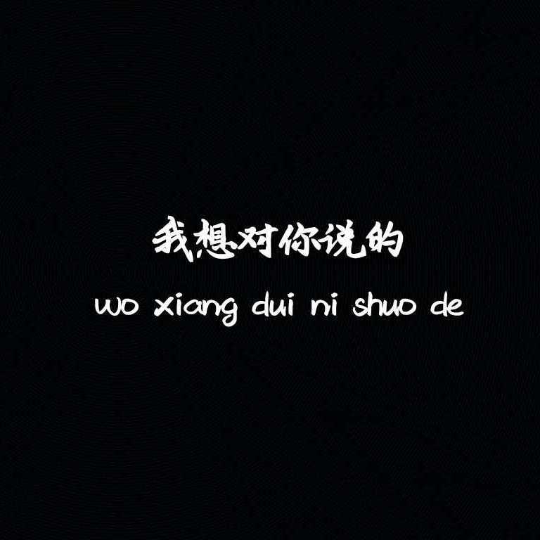 我想对你说的