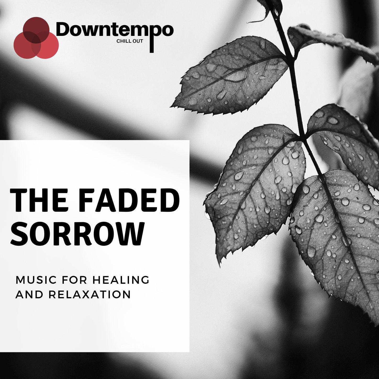 The Faded Sorrow: Music for Healing and Relaxation