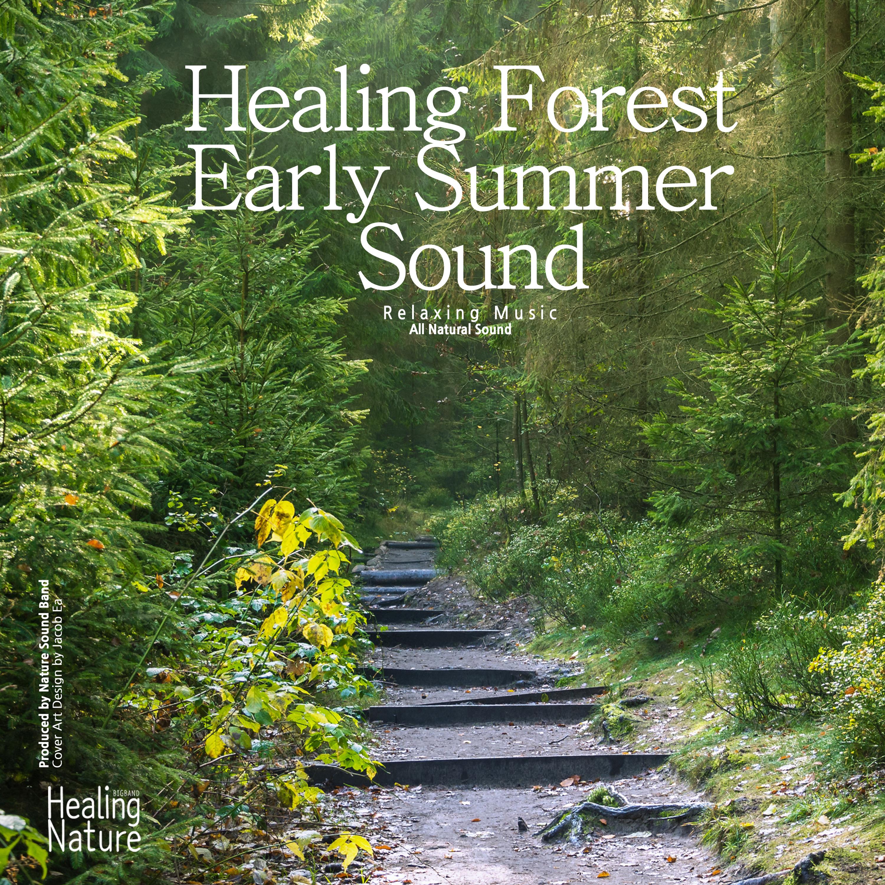 Healing Forest Early Summer Sound (Relaxation, Relaxing Muisc, White Noise, Insomnia, Deep Sleep, Meditation, Concentration, Lullaby, Prenatal Care, Healing, Memorization, Yoga, Spa)