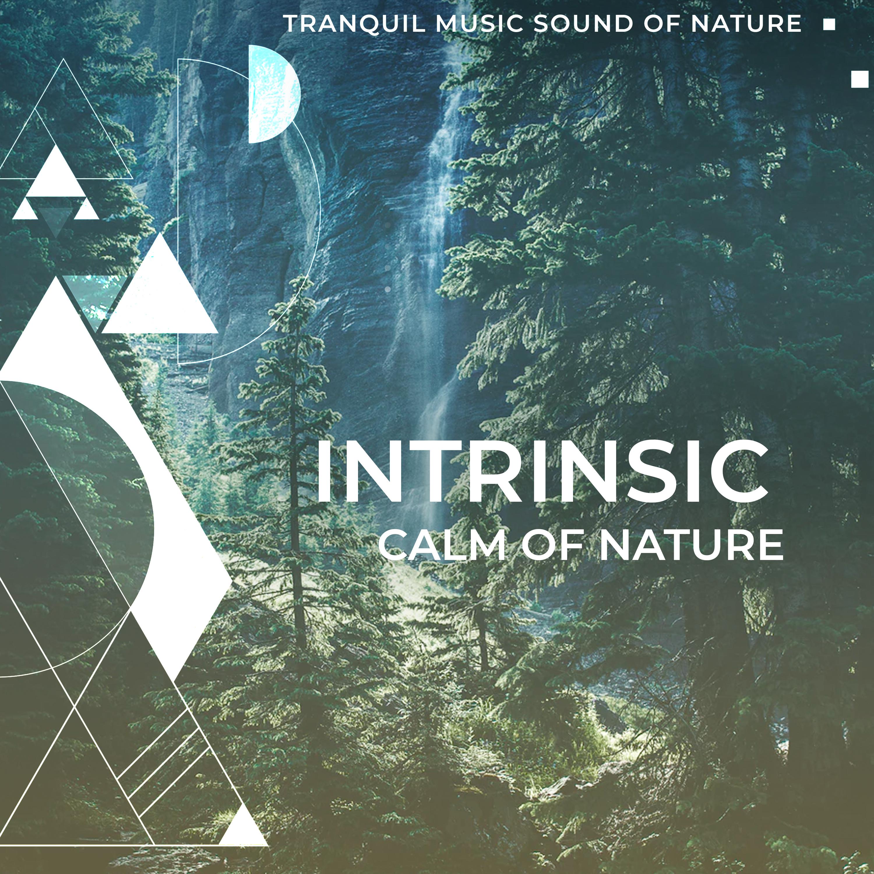 Intrinsic Calm of Nature