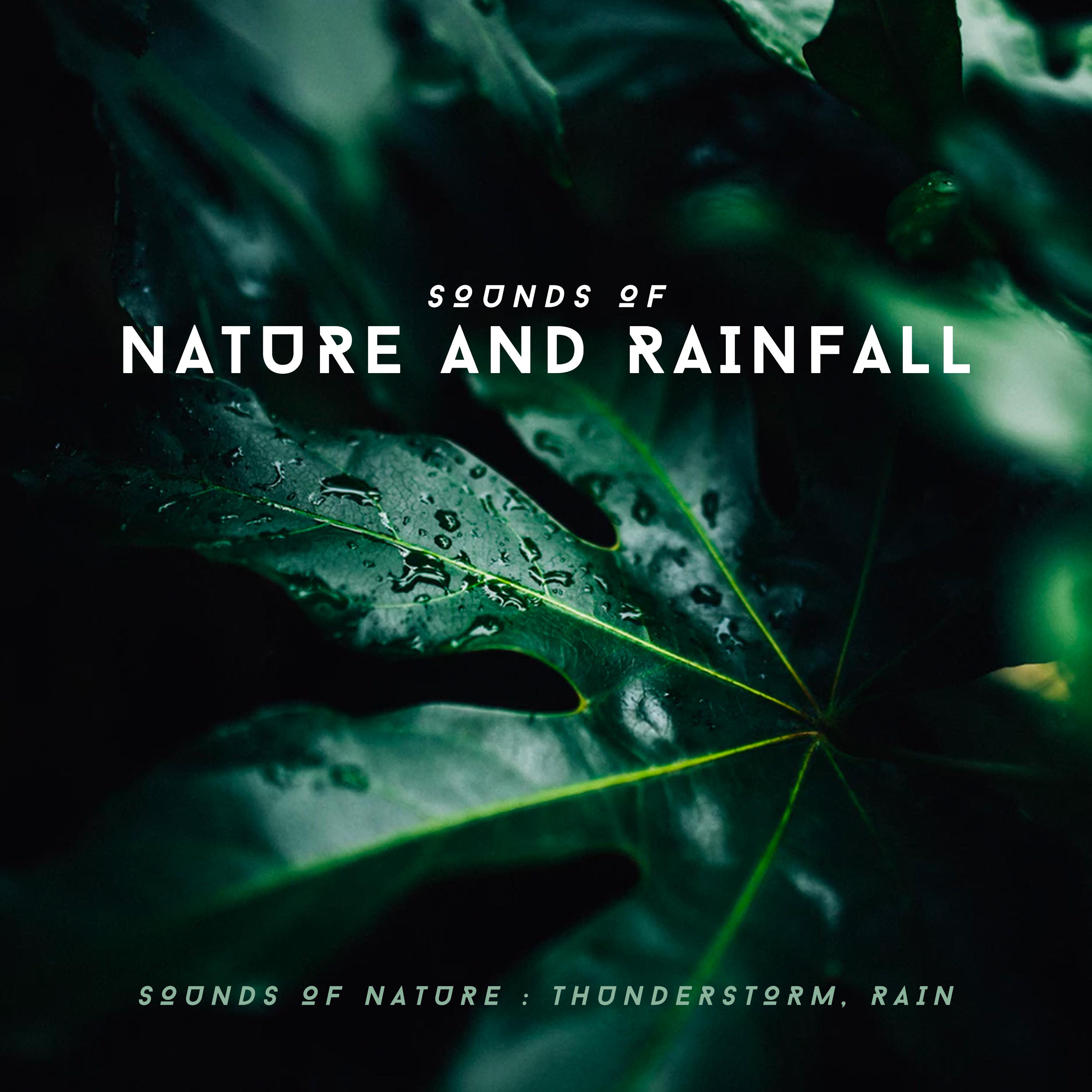 Sounds of Nature and Rainfall