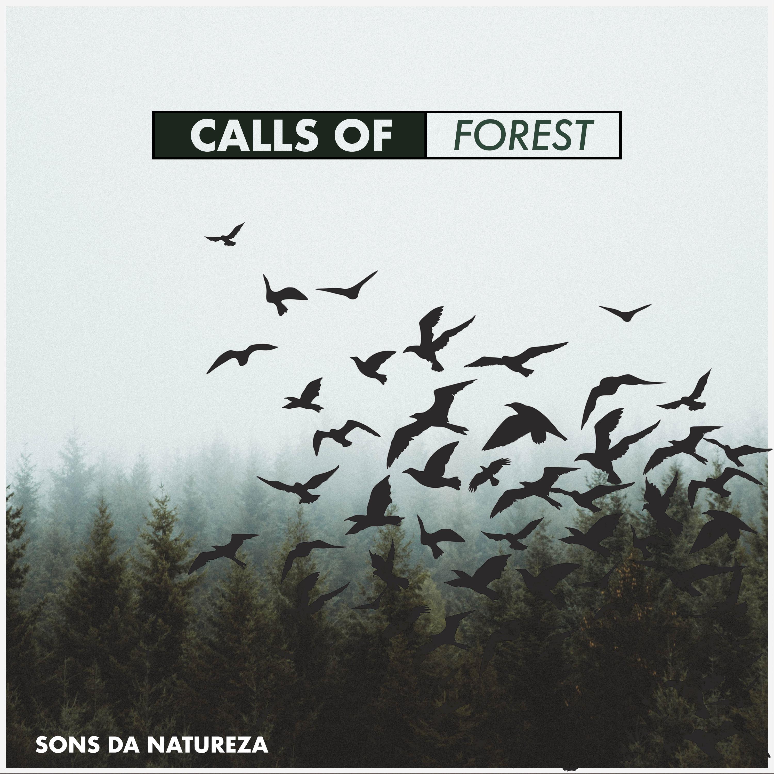 Calls of Forest