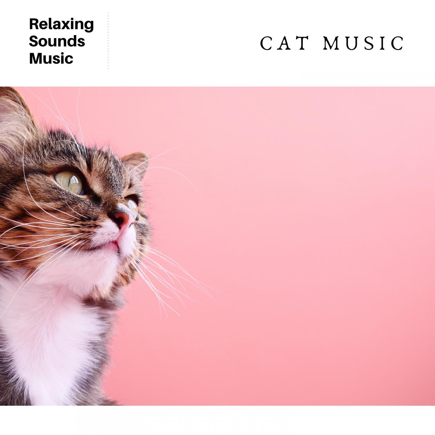 Cat Music: White Noise for Cats and Pet Relaxation
