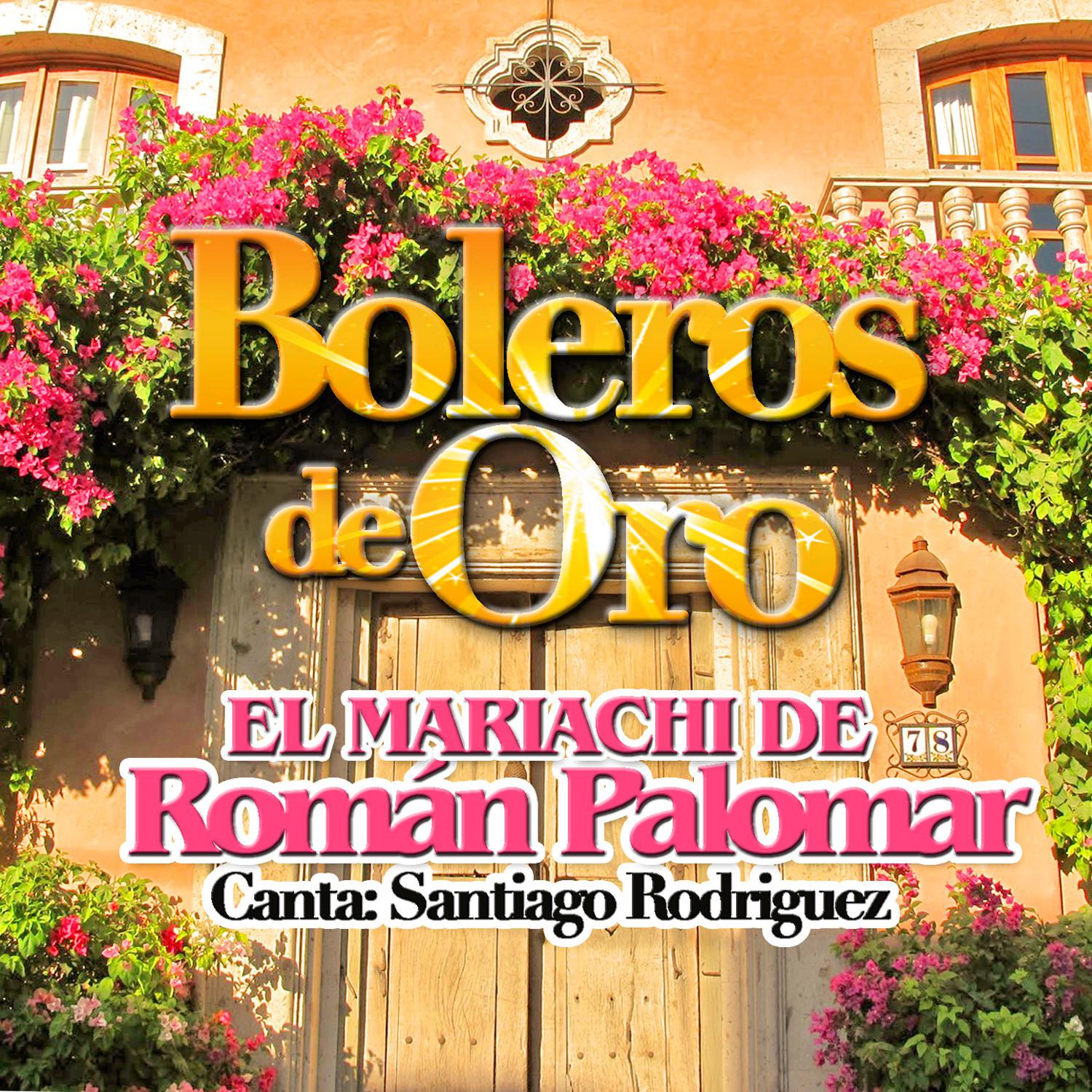 Boleros de Oro (Canta Santiago Rodriguez)