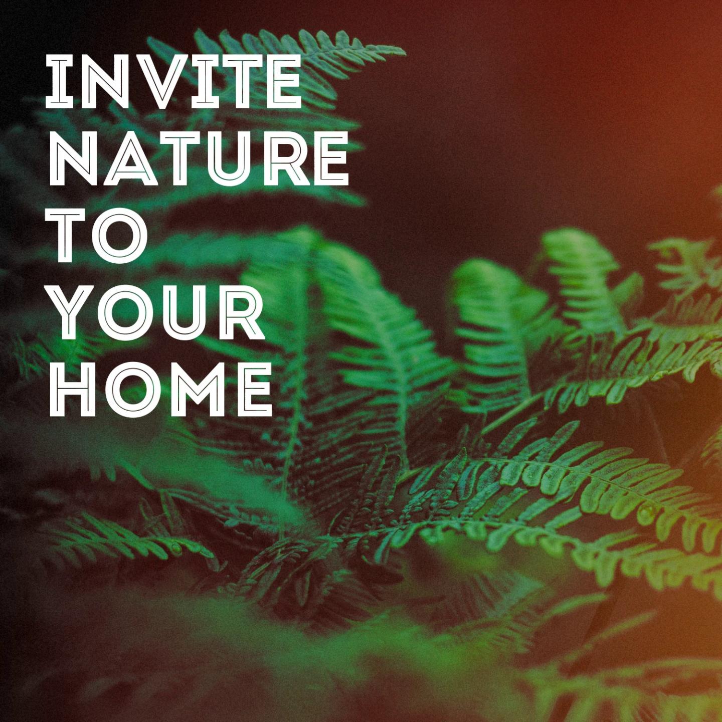 Invite Nature to Your Home