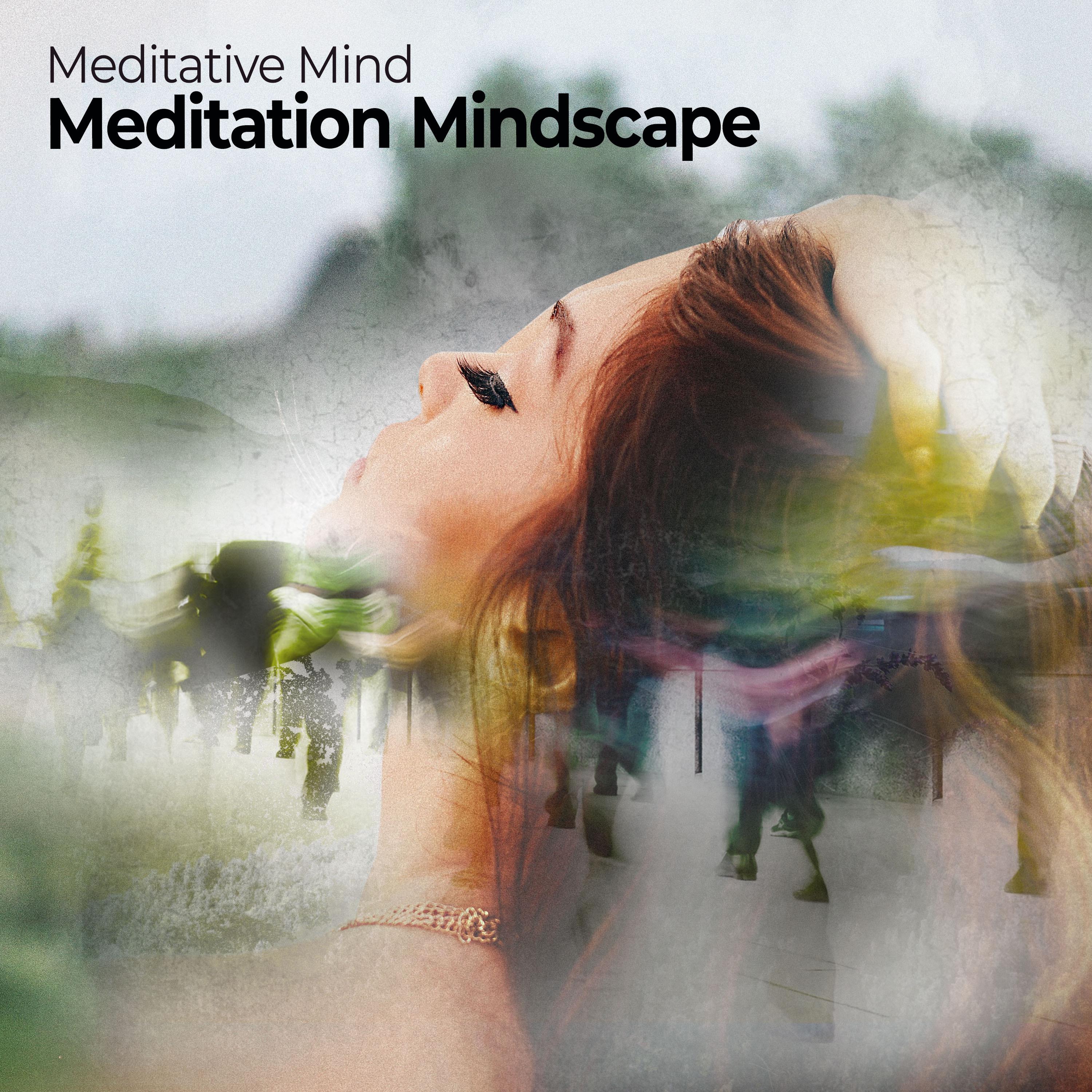 Meditation Mindscape