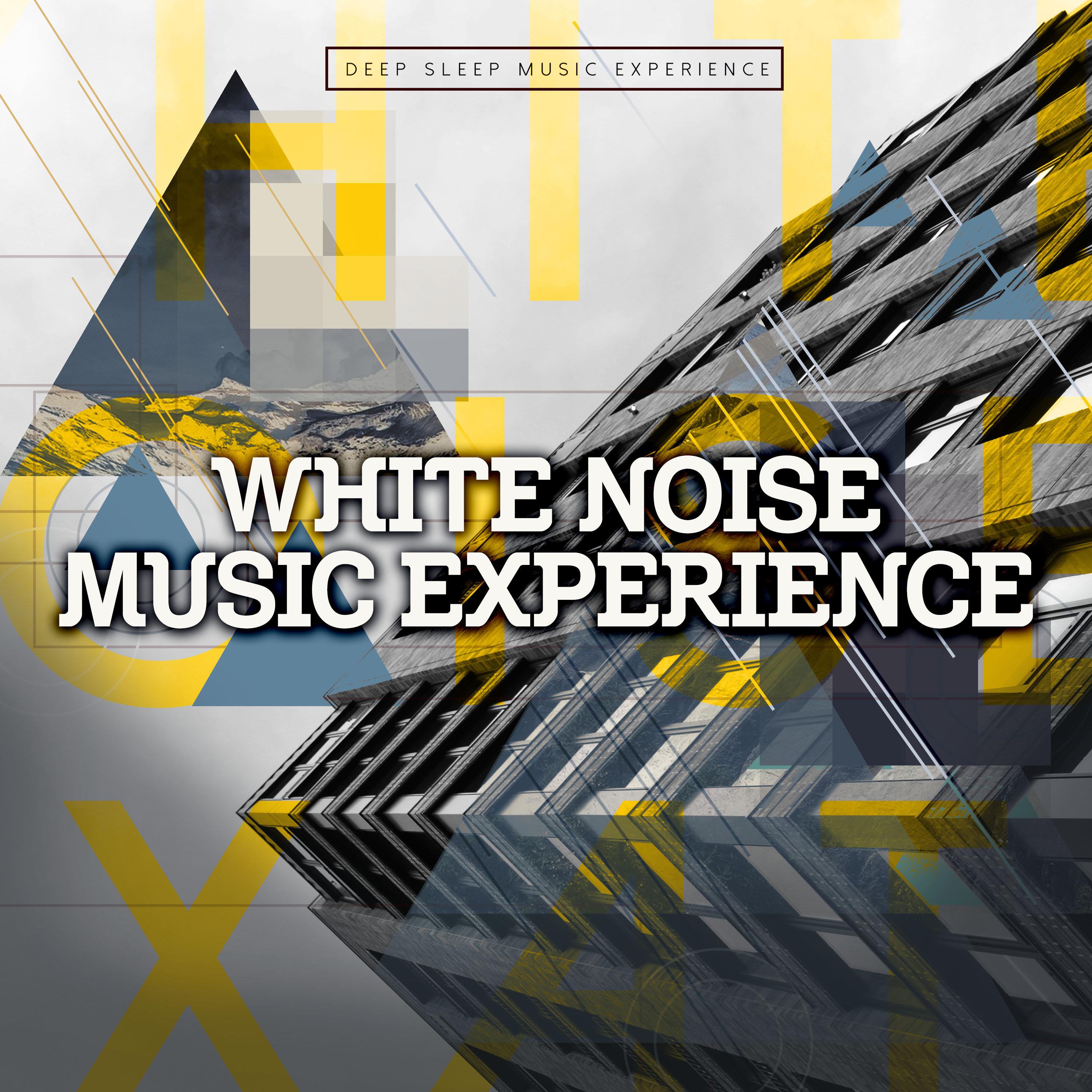 White Noise Music Experience