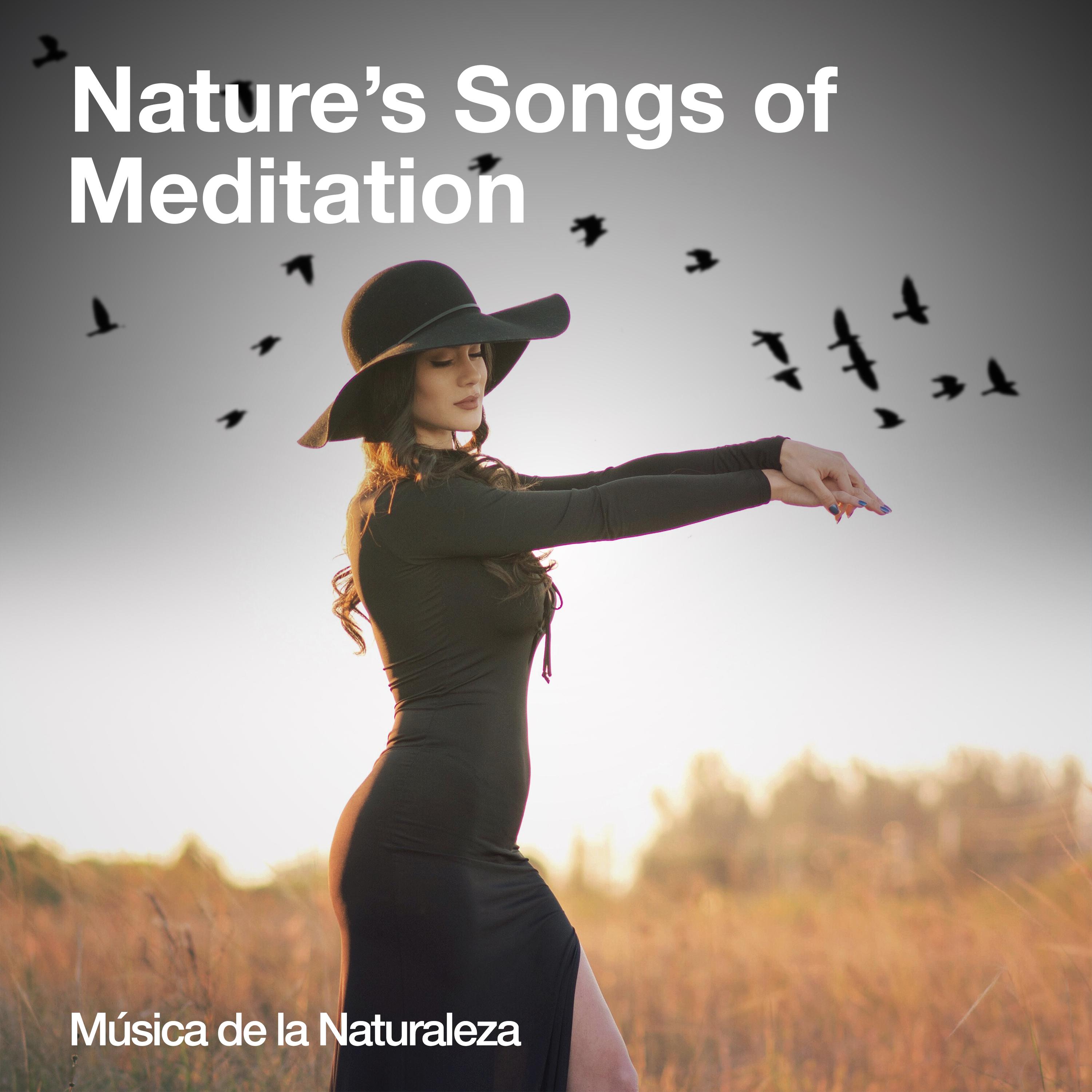 Nature's Songs of Meditation