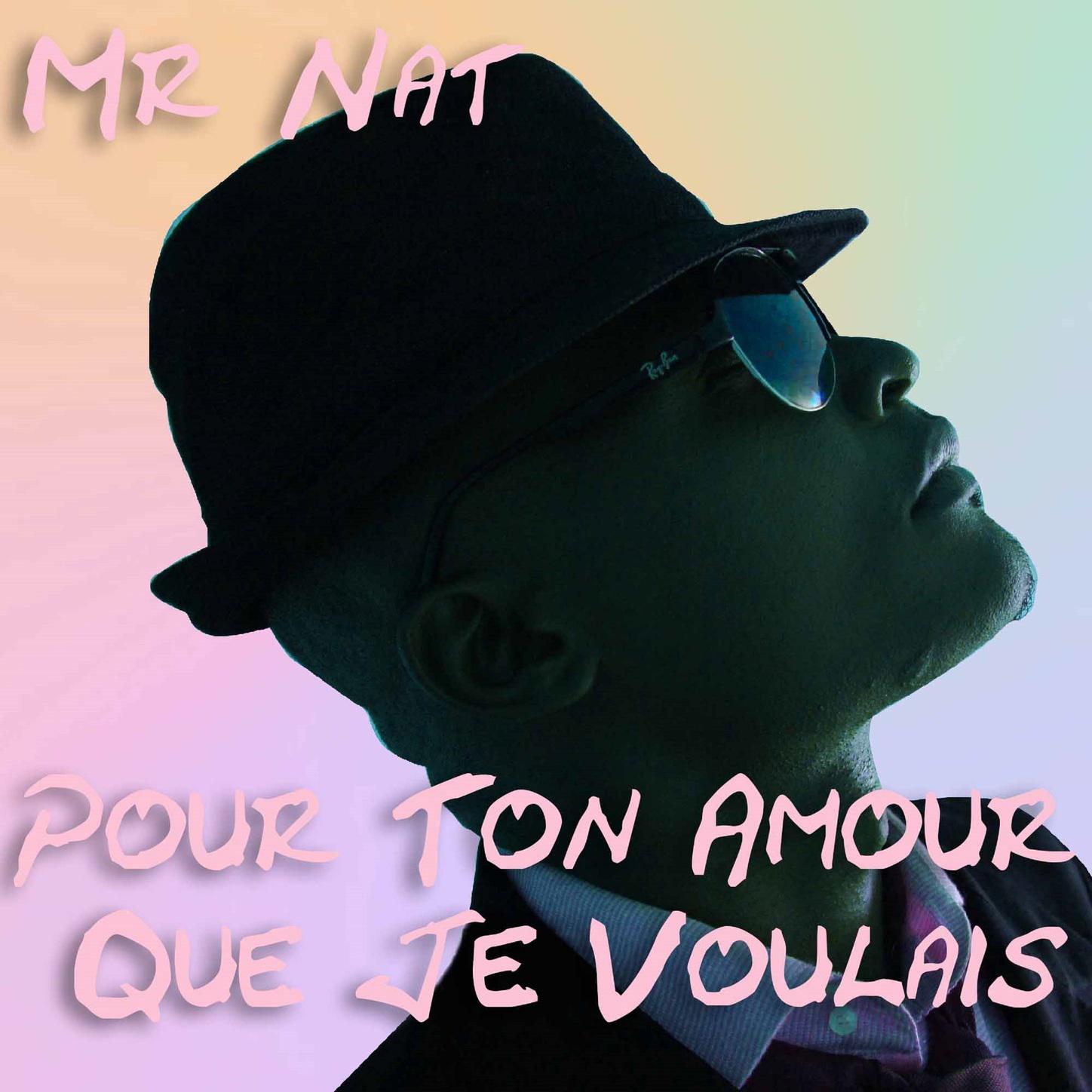 Pour Ton Amour Que Je Voulais