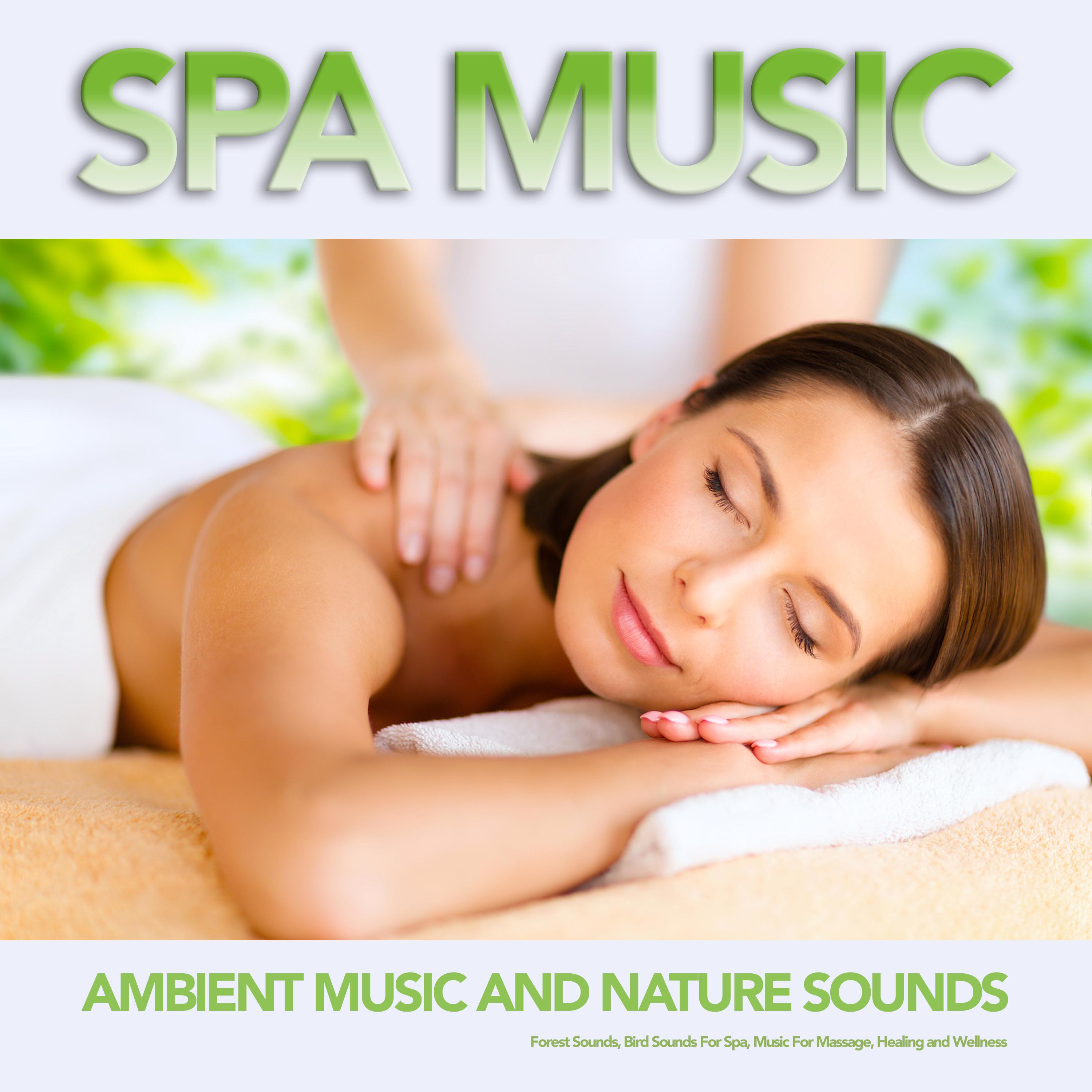 Spa Music: Ambient Music and Nature Sounds, Forest Sounds, Bird Sounds For Spa, Music For Massage, Healing and Wellness