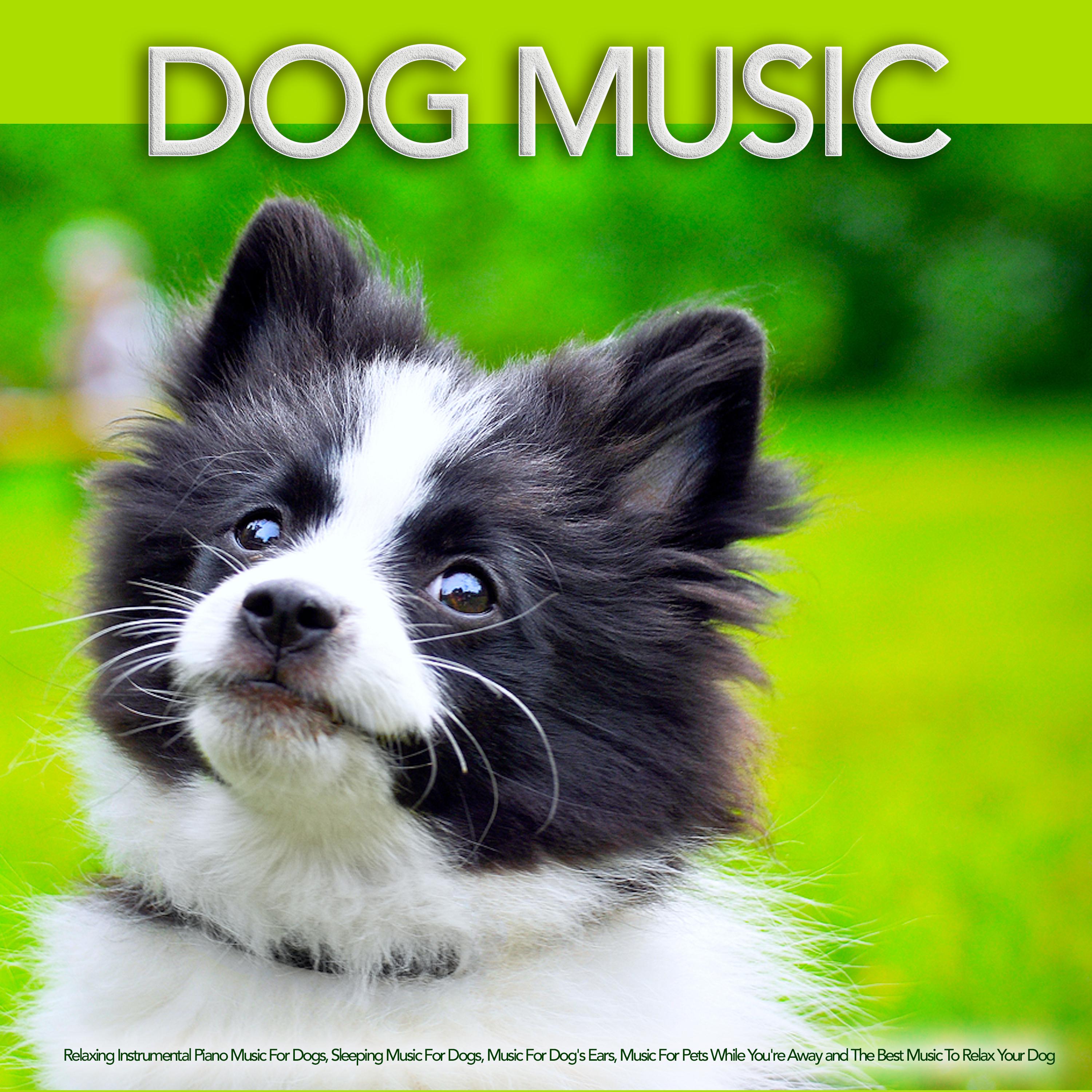 Relaxing Music For Dogs Ears