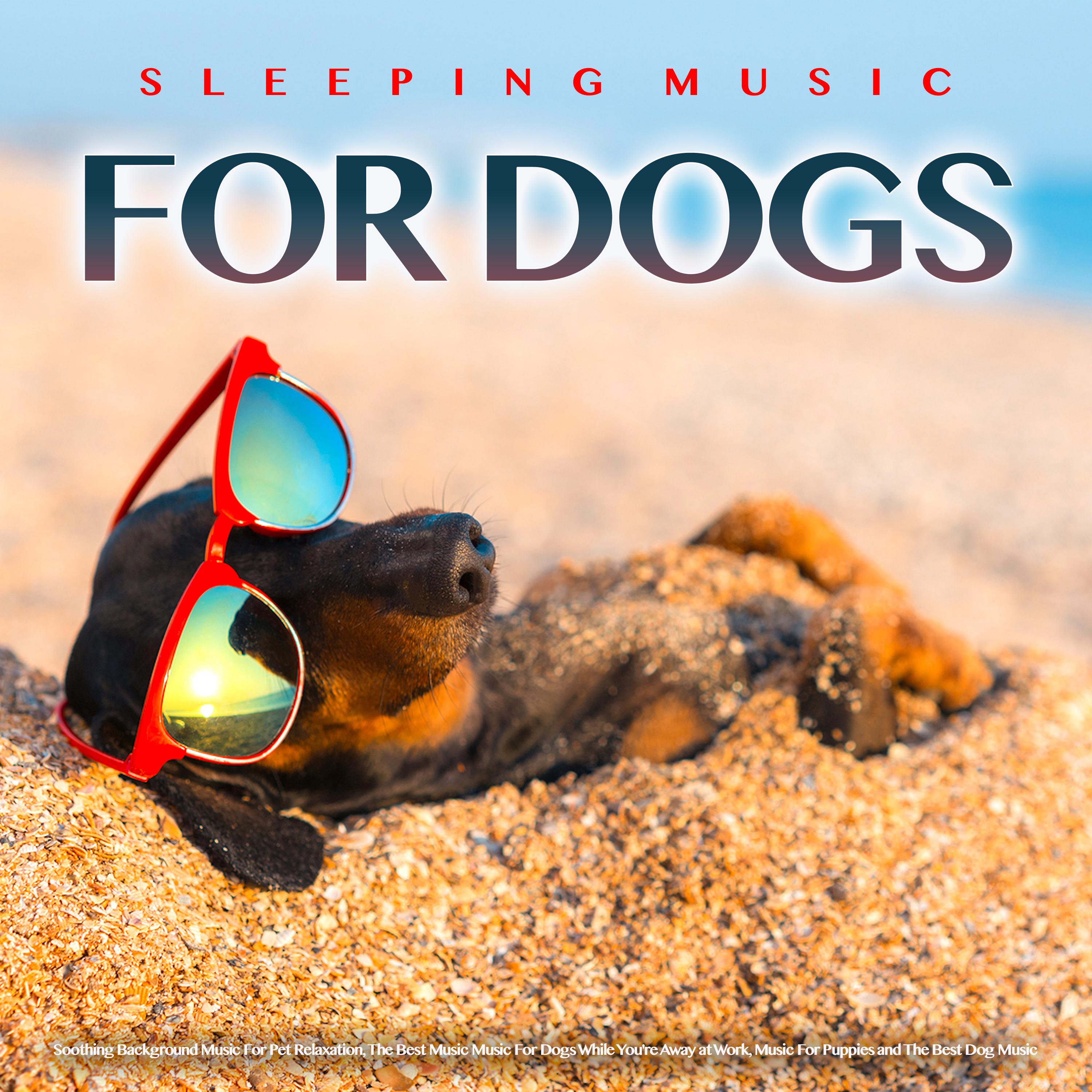 Soft Piano Sleep Music For Dogs