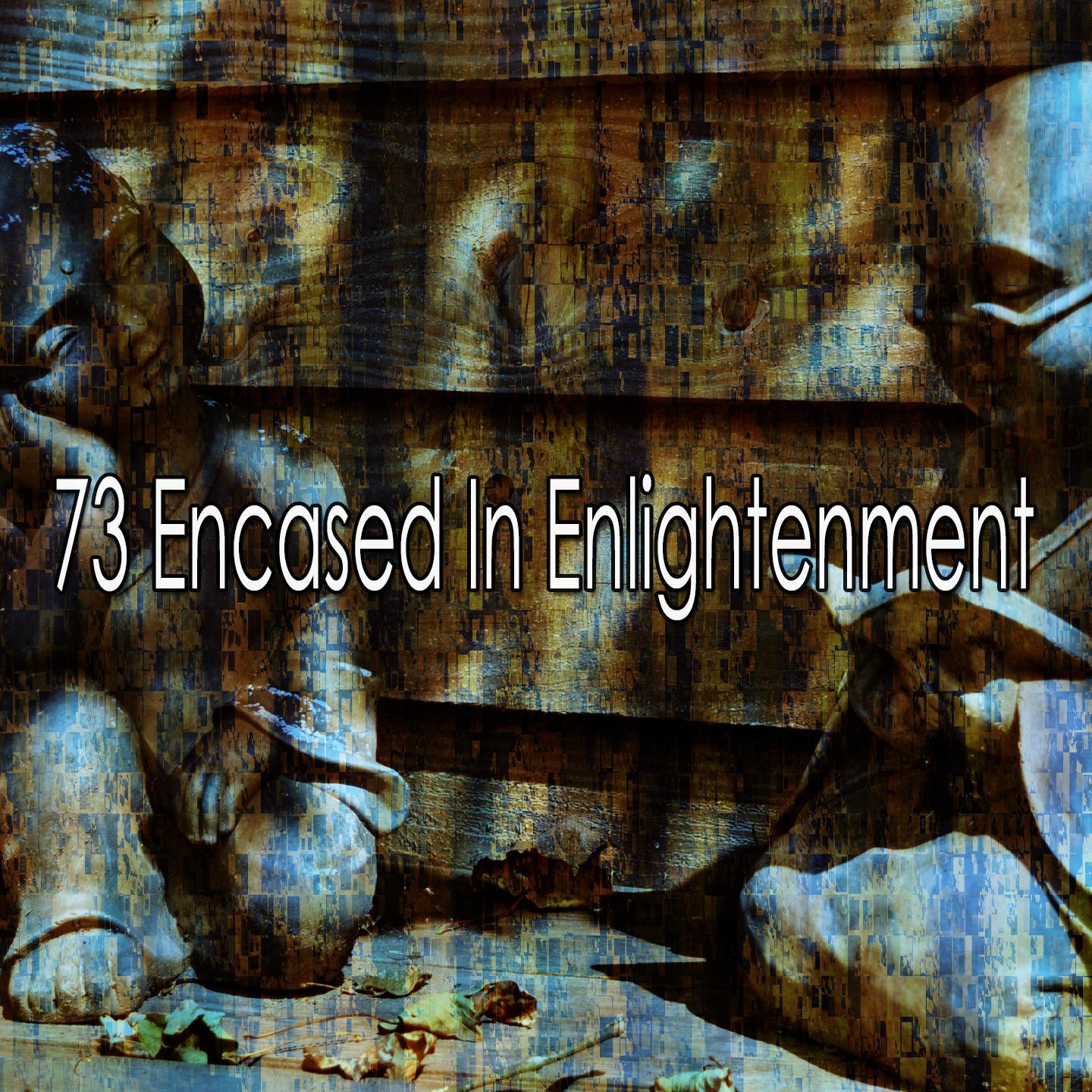 73 Encased in Enlightenment