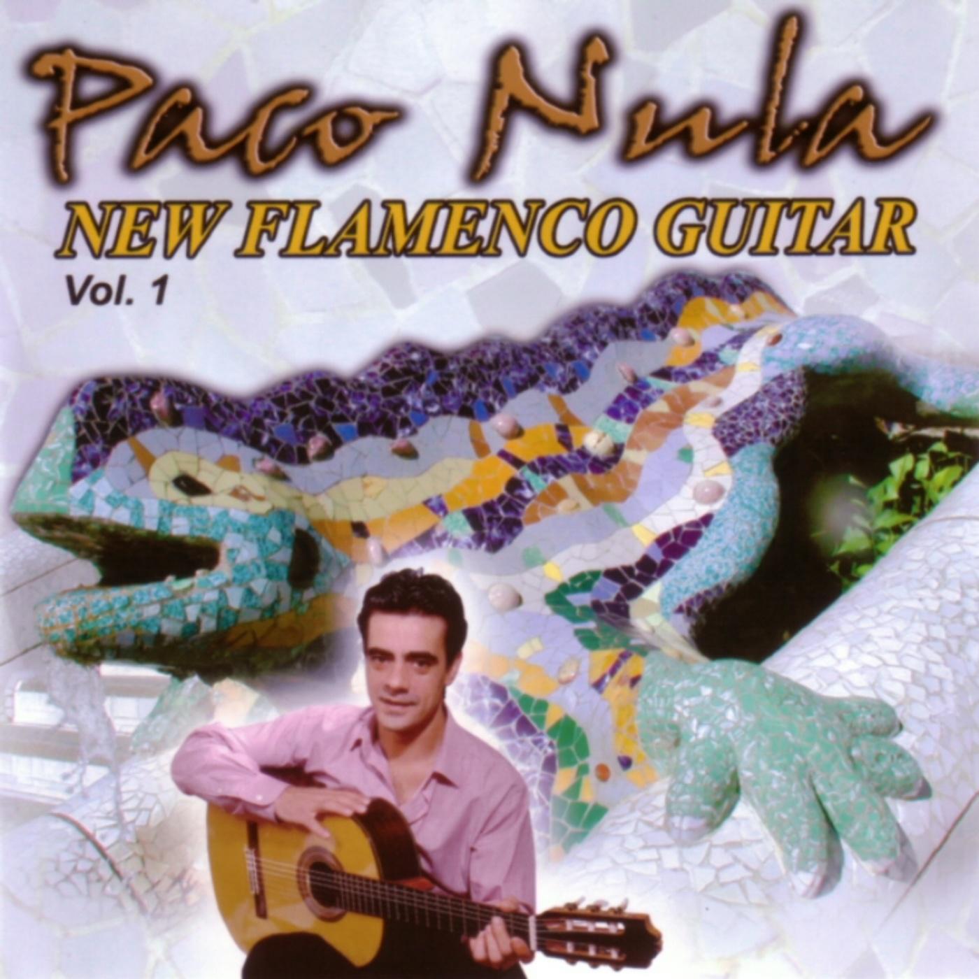 New Flamenco Guitar (Vol. I)