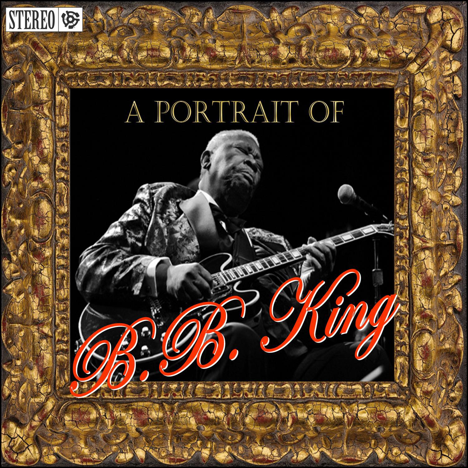 A Portrait Of B.B. King