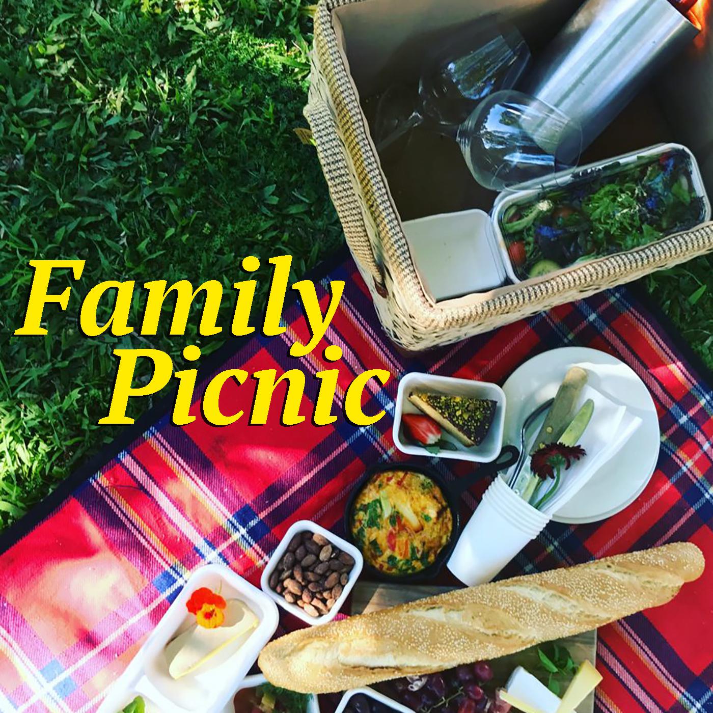 Family Picnic