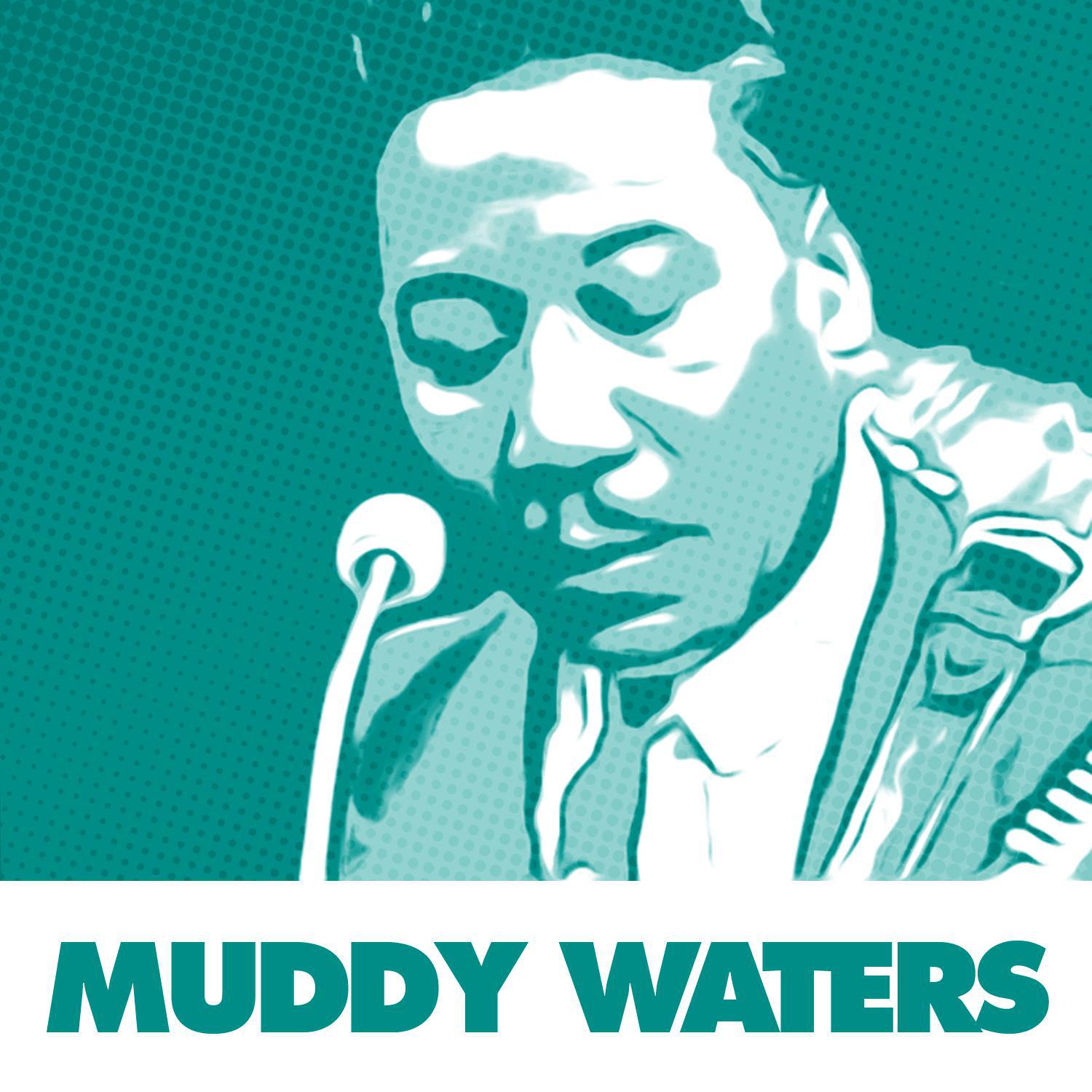 37 Essential Blues Standards By Muddy Waters