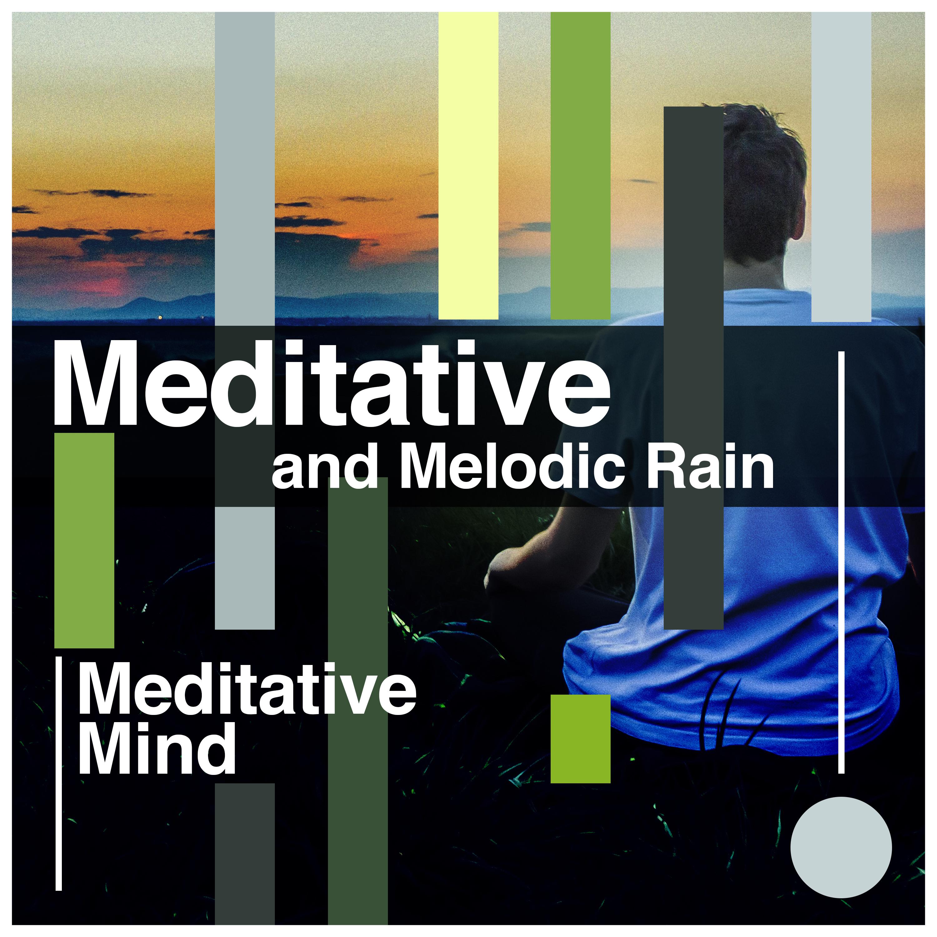 Meditative and Melodic Rain