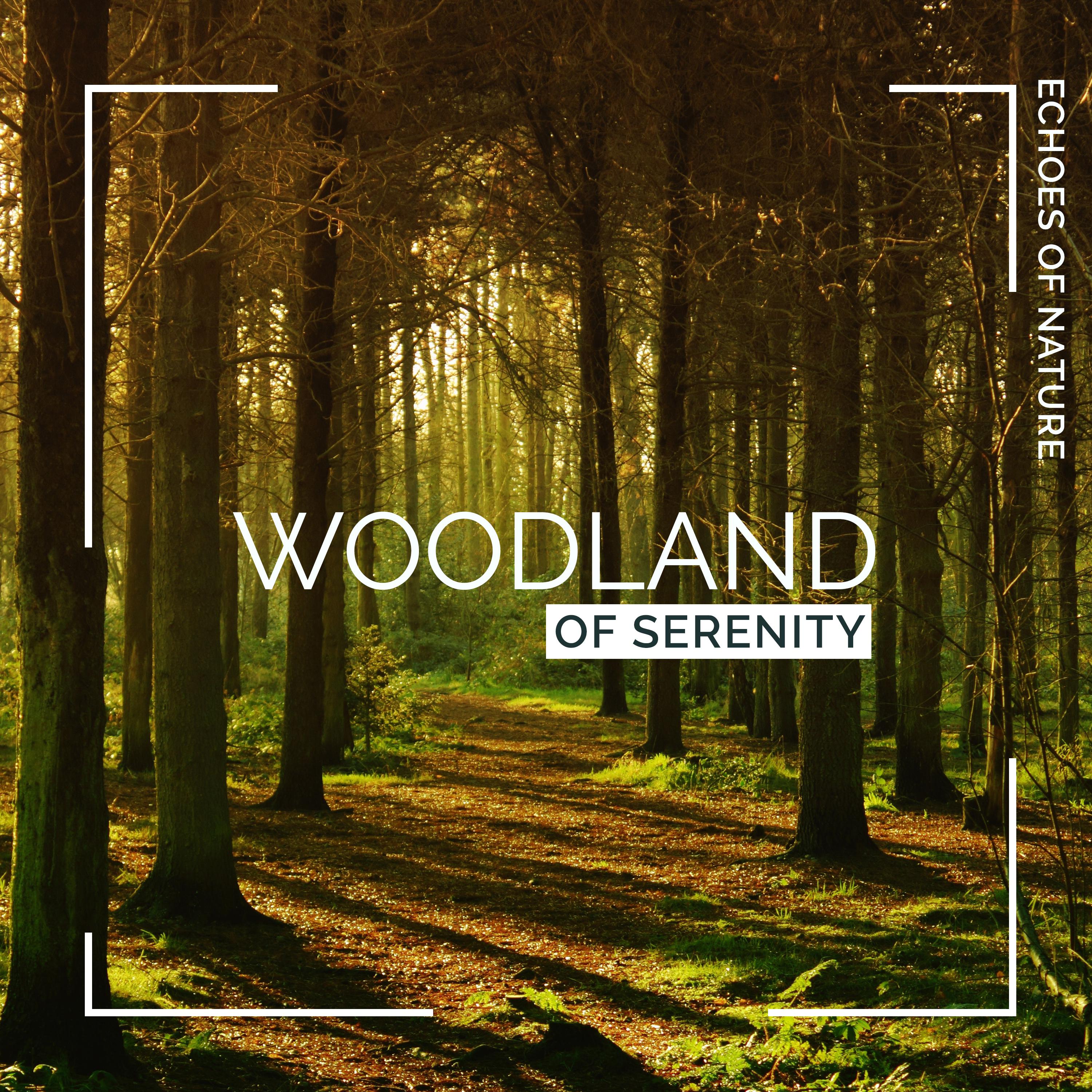 Woodland of Serenity