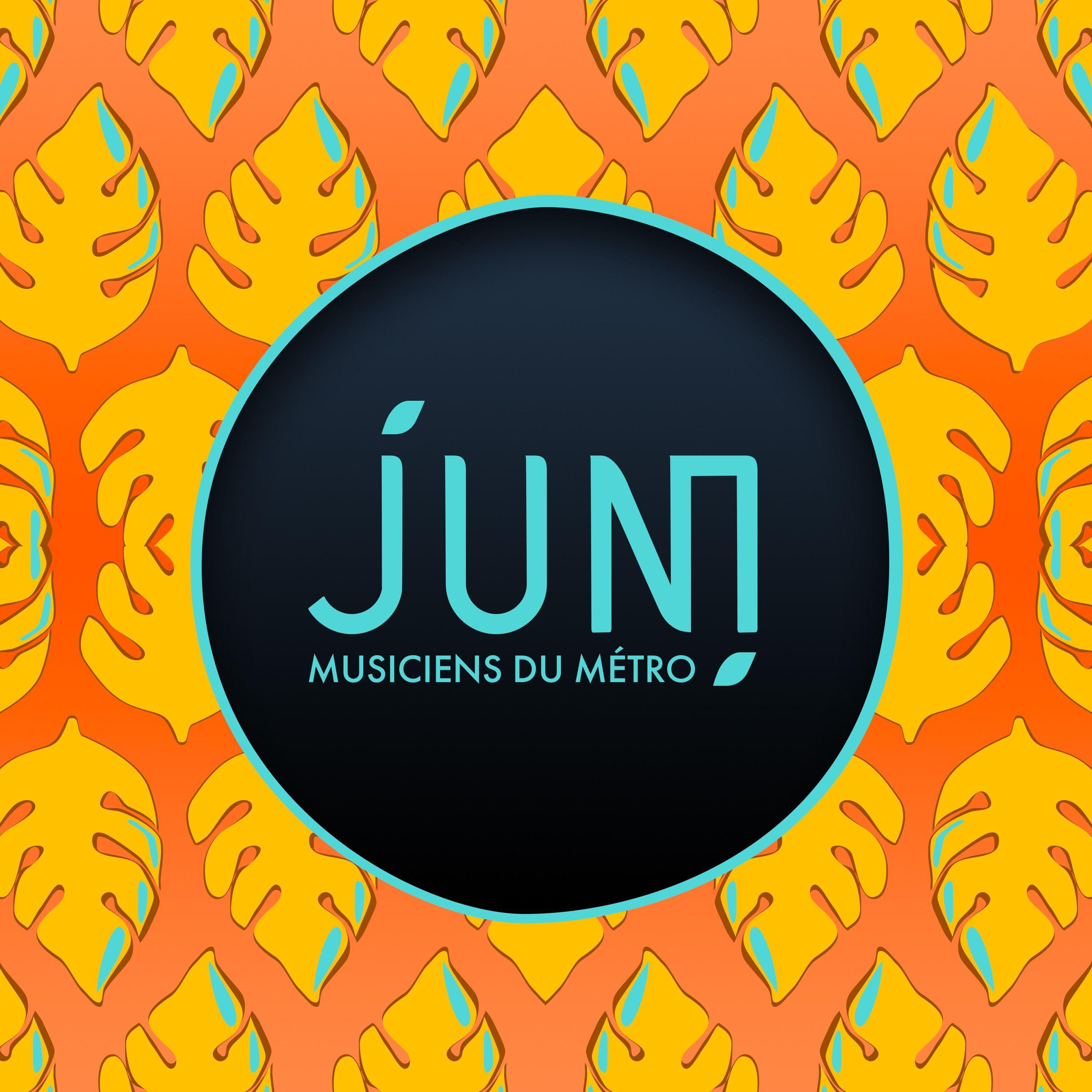 Musicien du métro