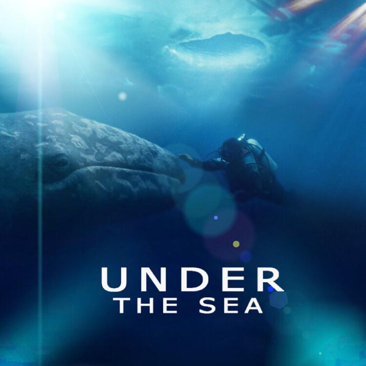 Under the sea