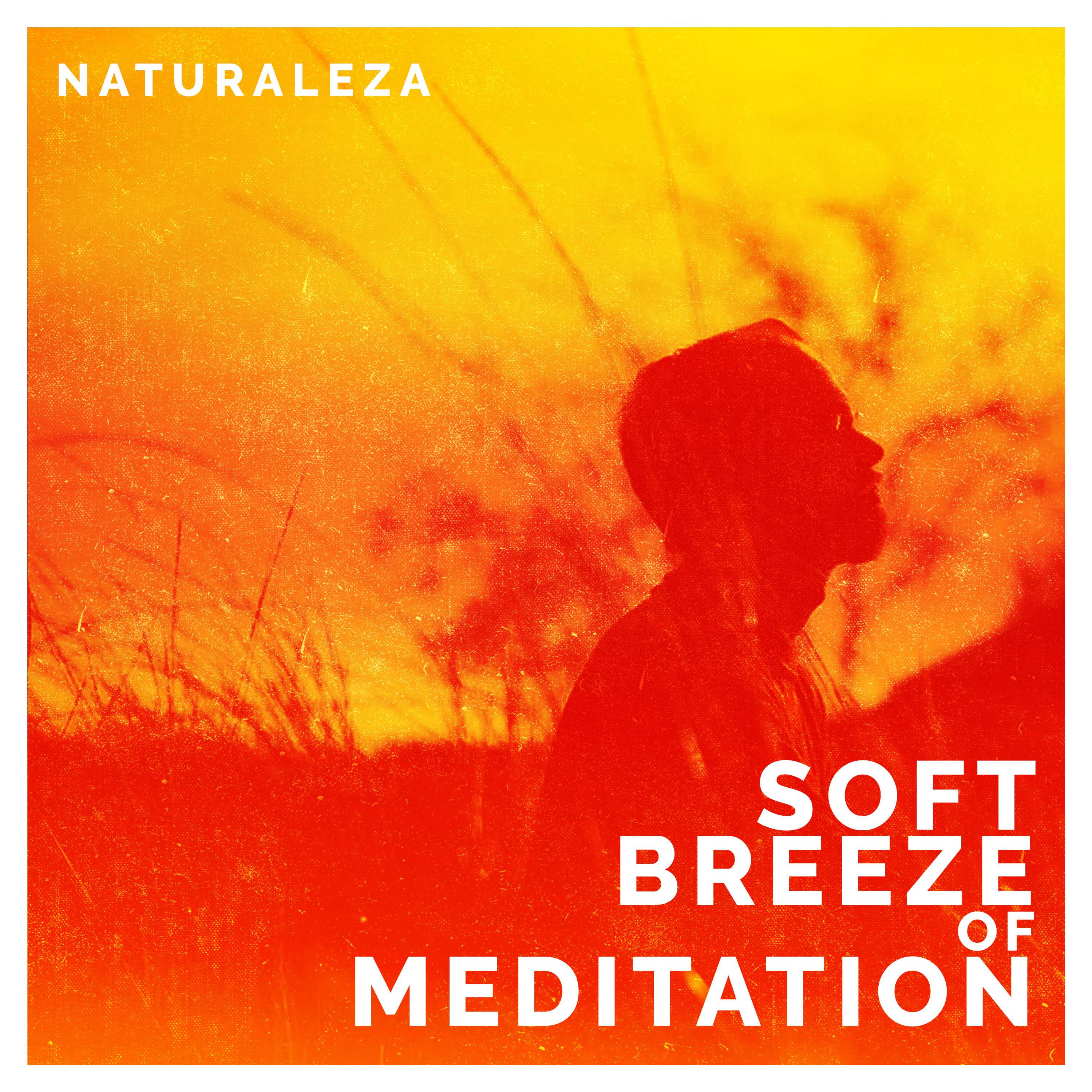 Soft Breeze of Meditation