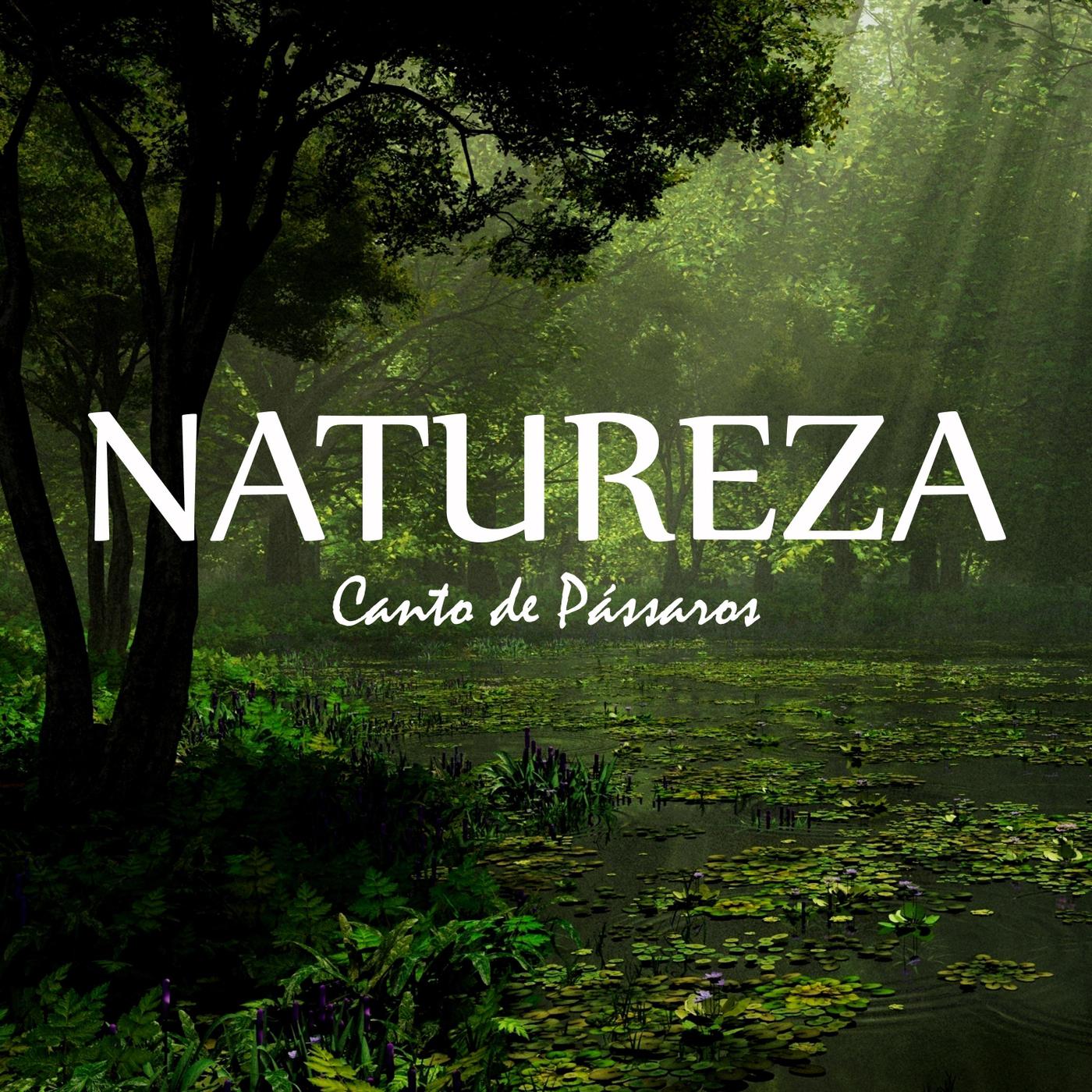 Natureza: Canto de Pássaros, Pt. 05